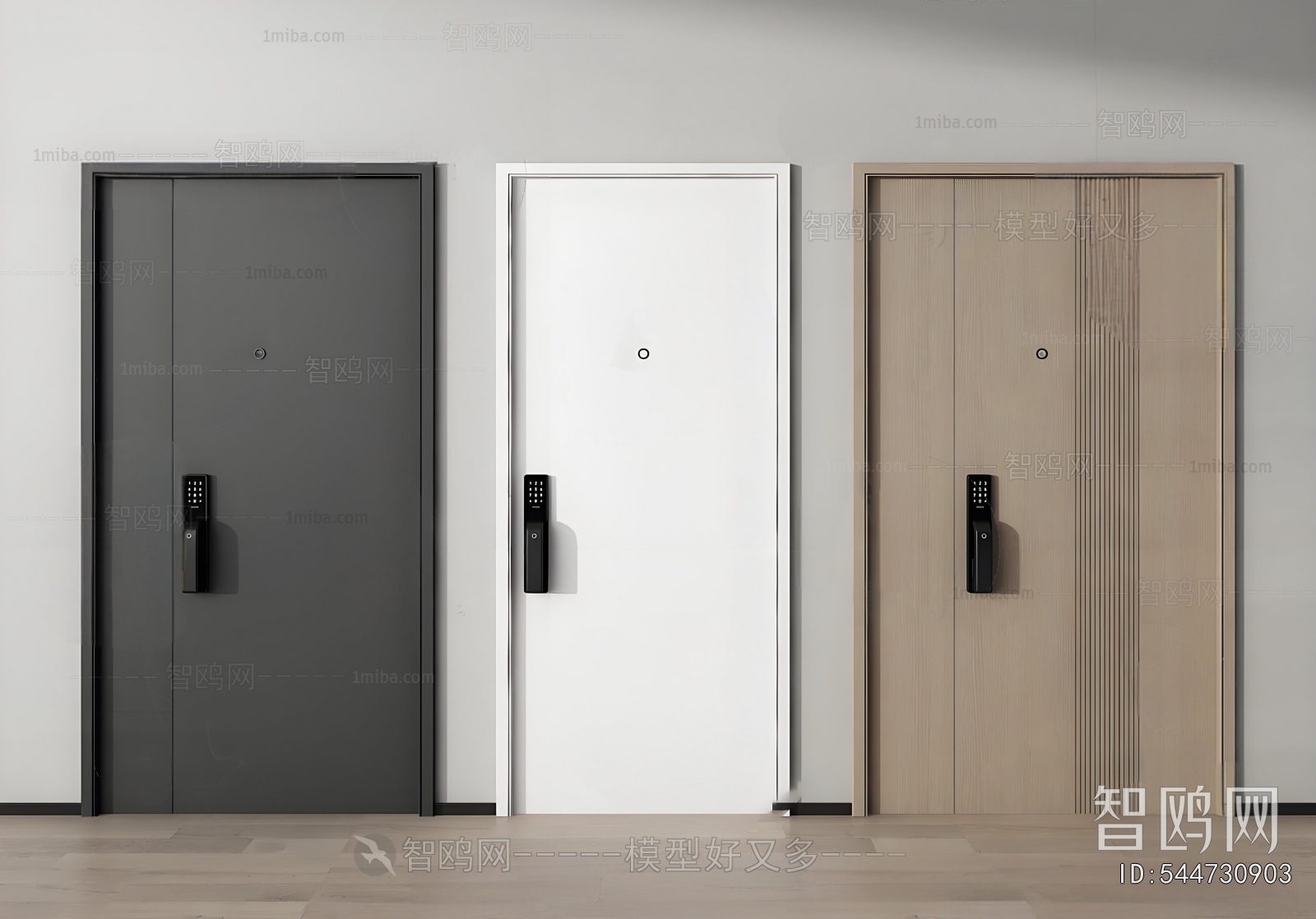 Modern Entrance Door