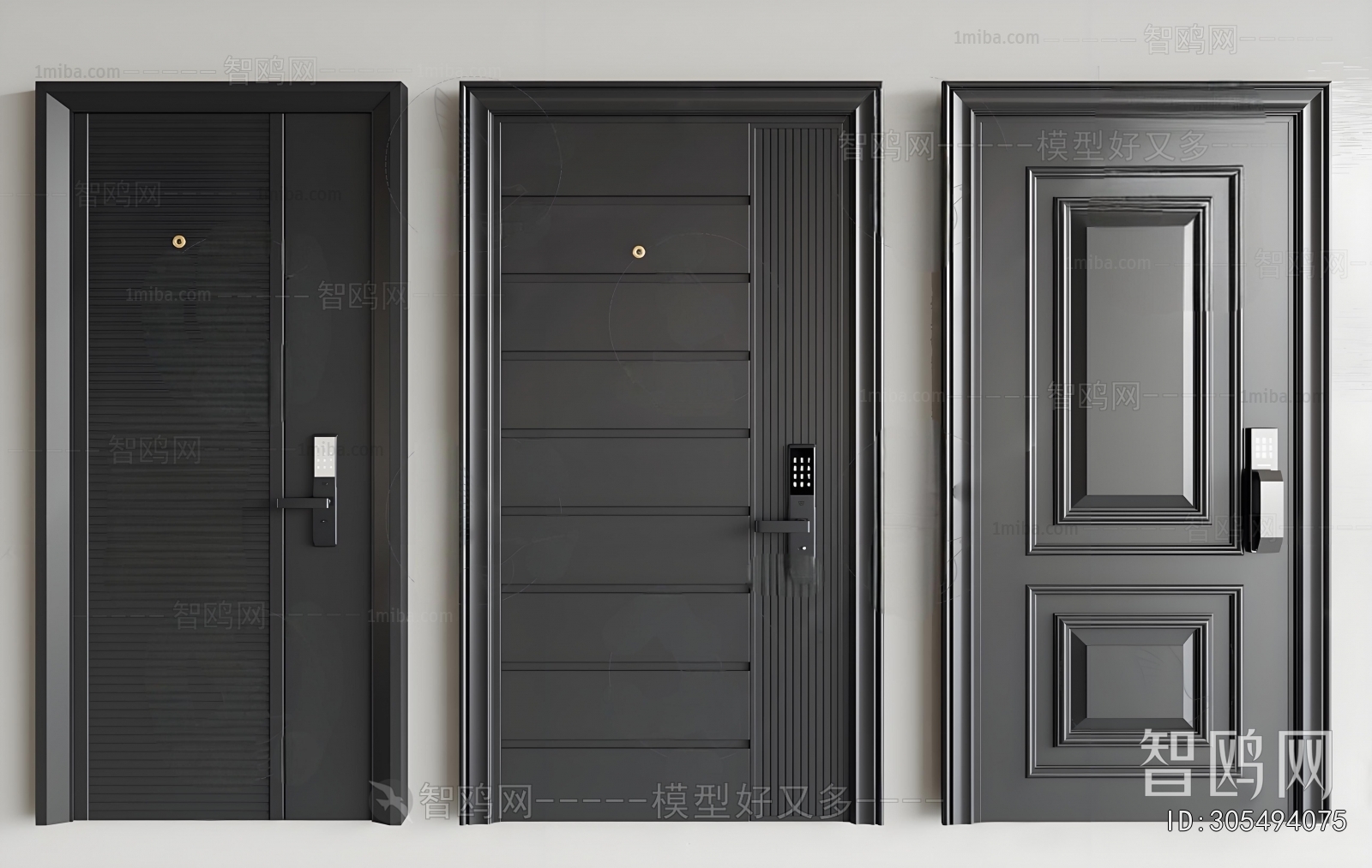 Modern Entrance Door