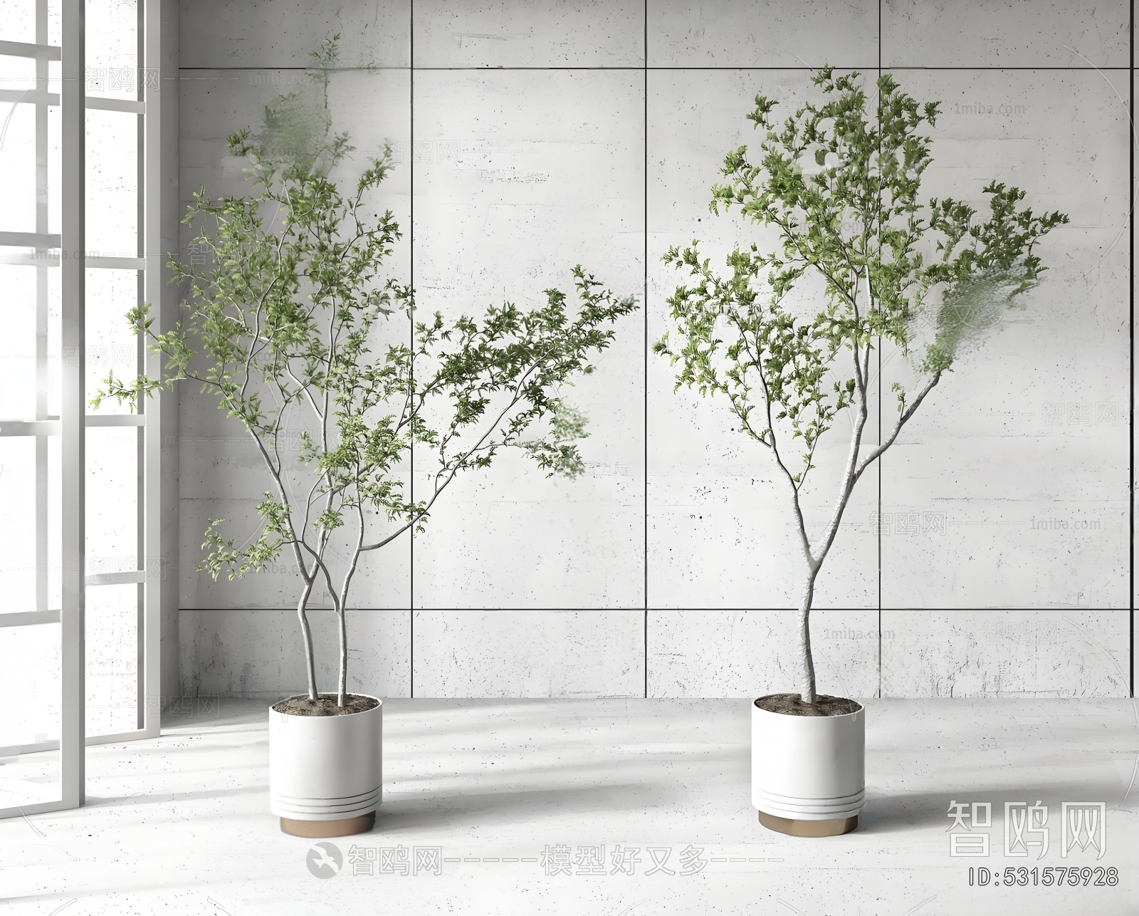 Modern Ground Green Plant Potted Plants