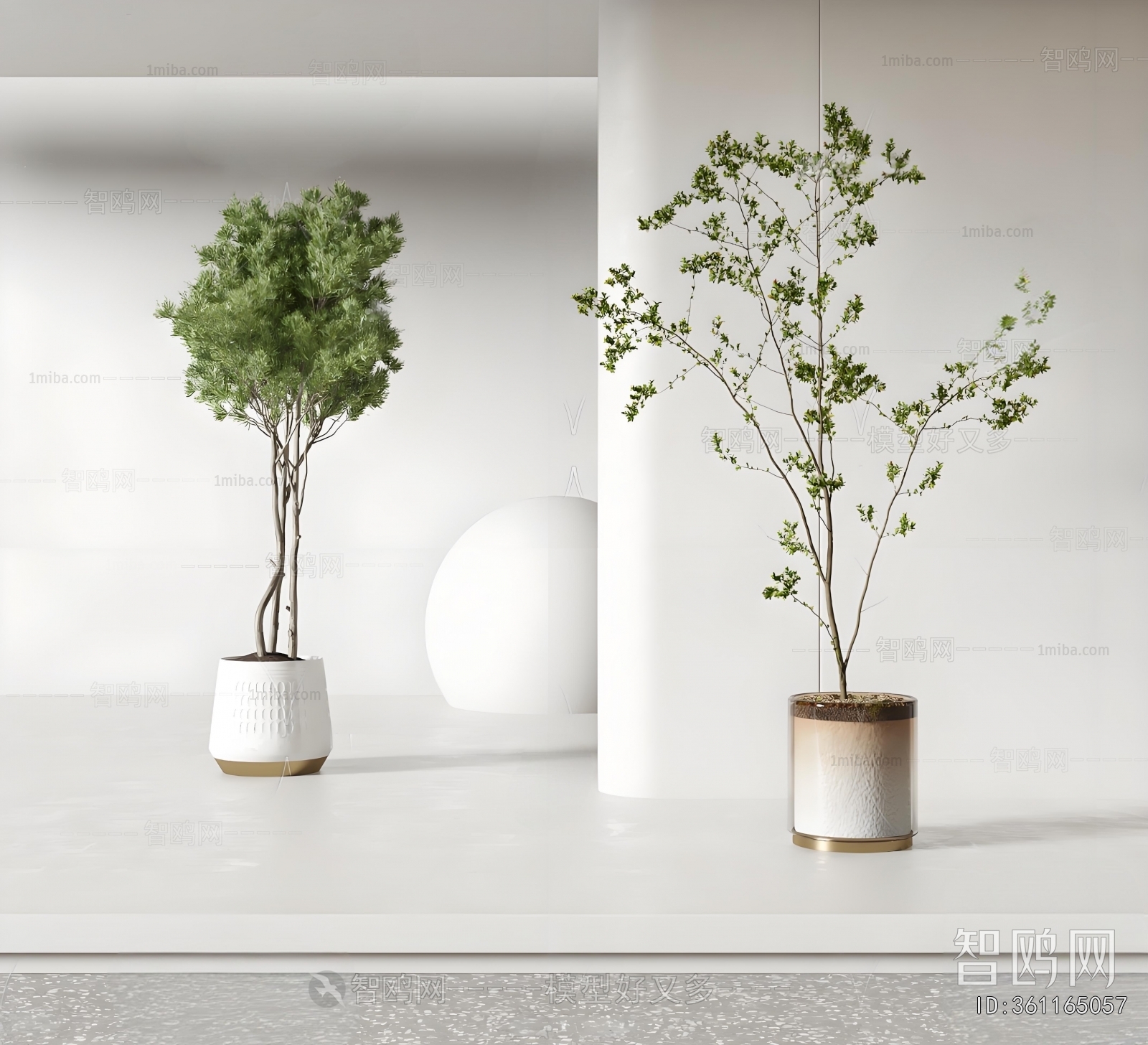 Modern Ground Green Plant Potted Plants