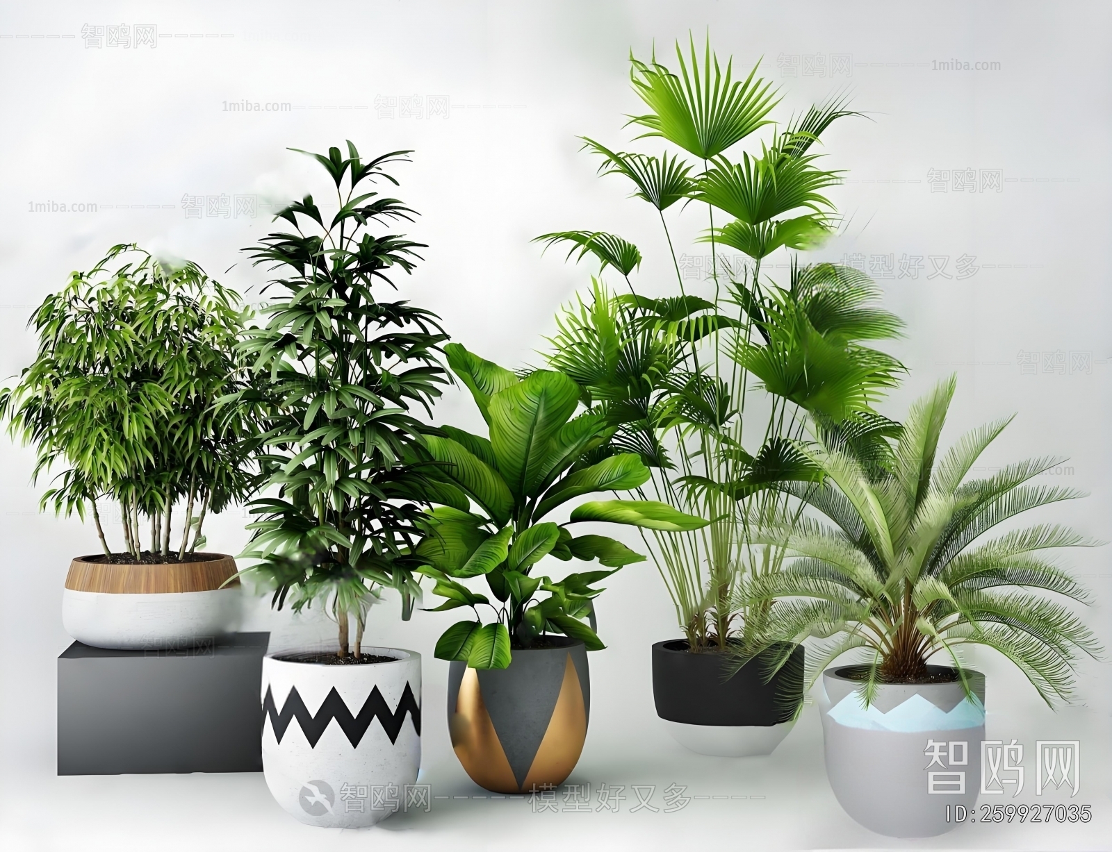 Modern Ground Green Plant Potted Plants