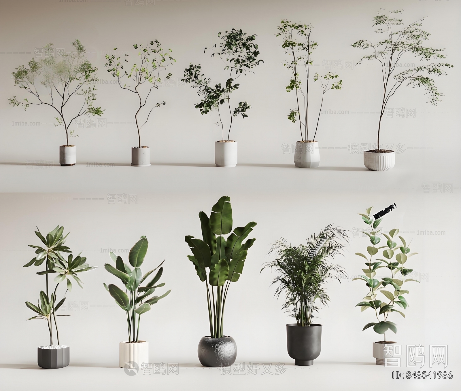 Modern Ground Green Plant Potted Plants