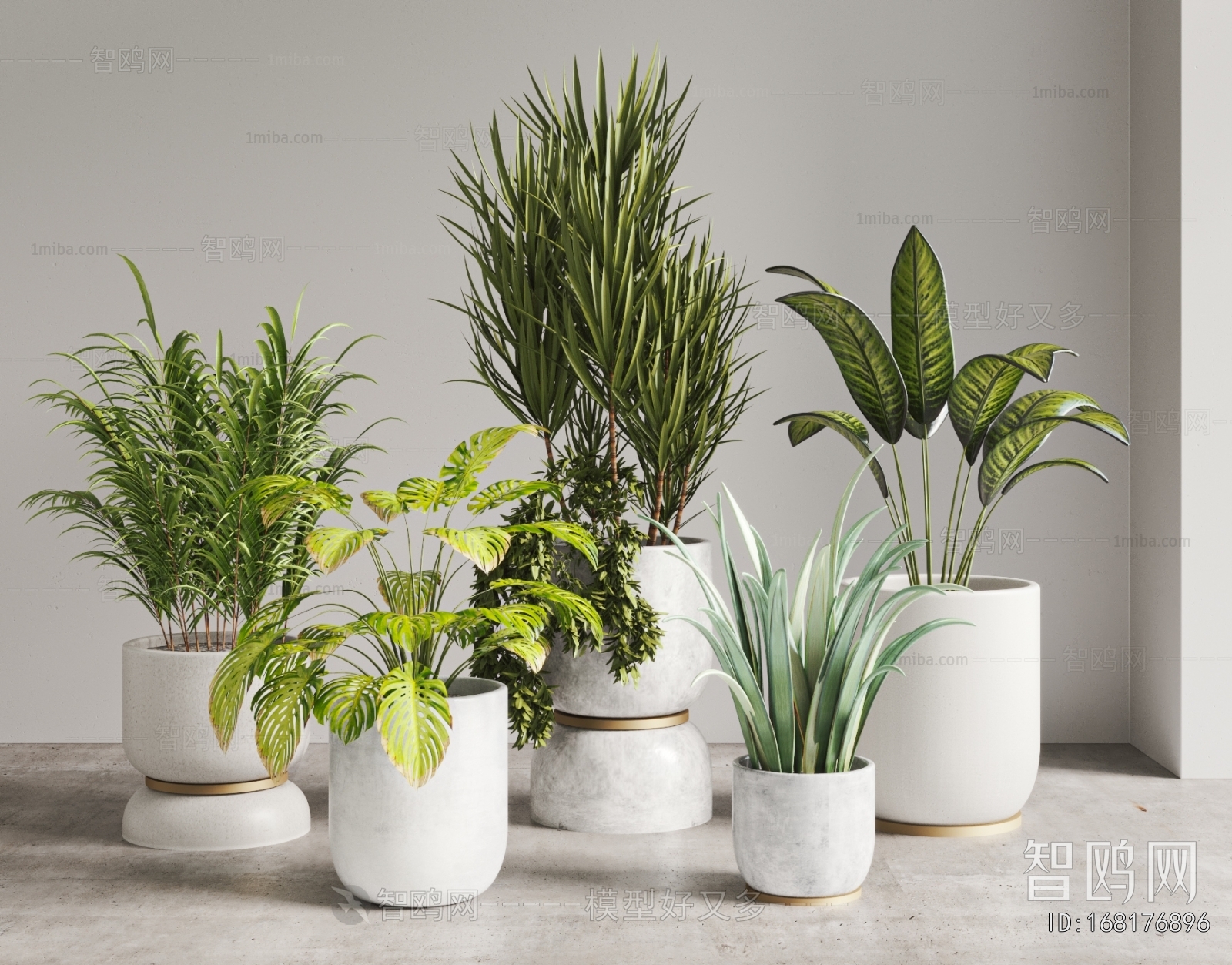 Modern Ground Green Plant Potted Plants