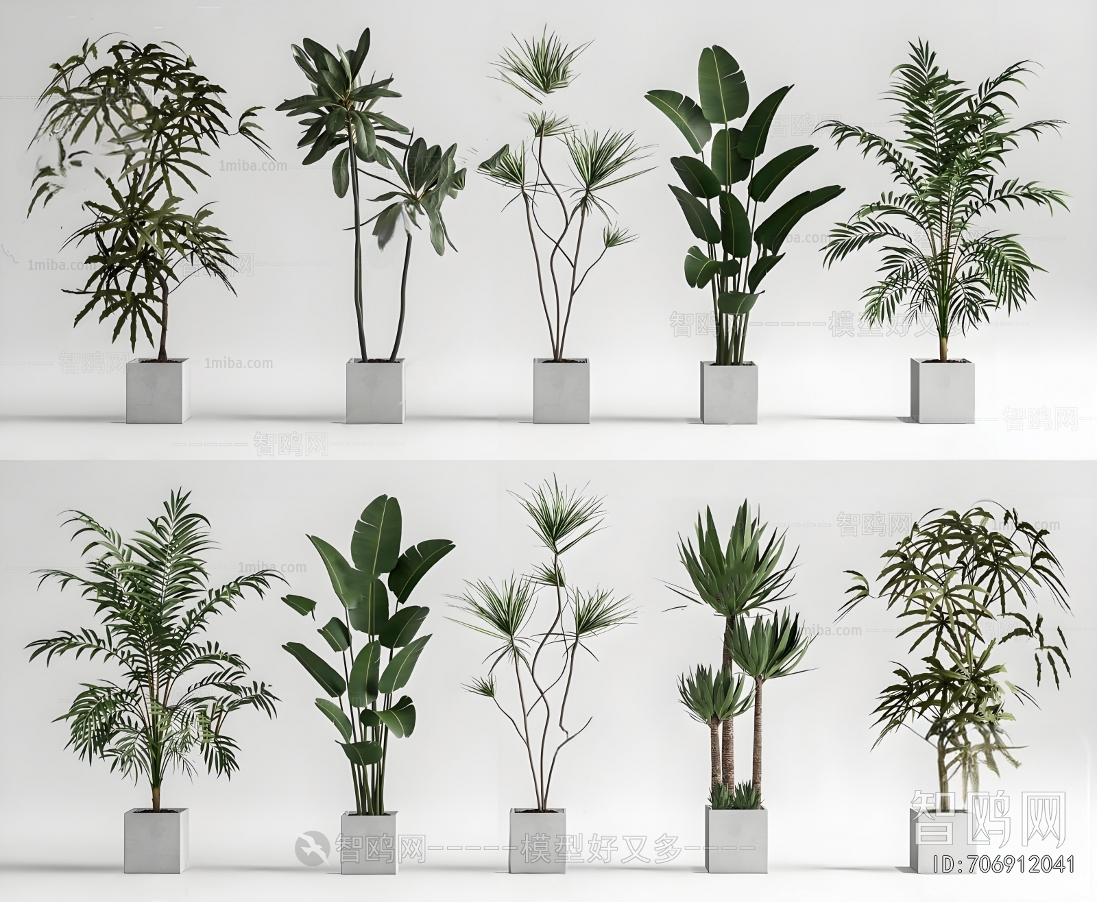 Modern Ground Green Plant Potted Plants