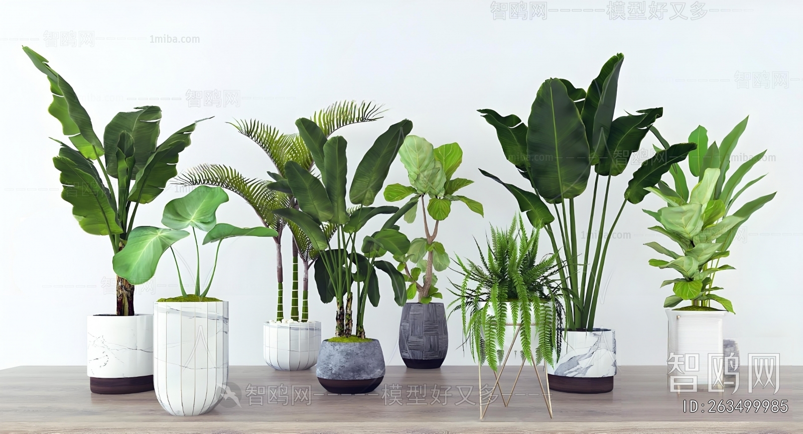 Modern Ground Green Plant Potted Plants