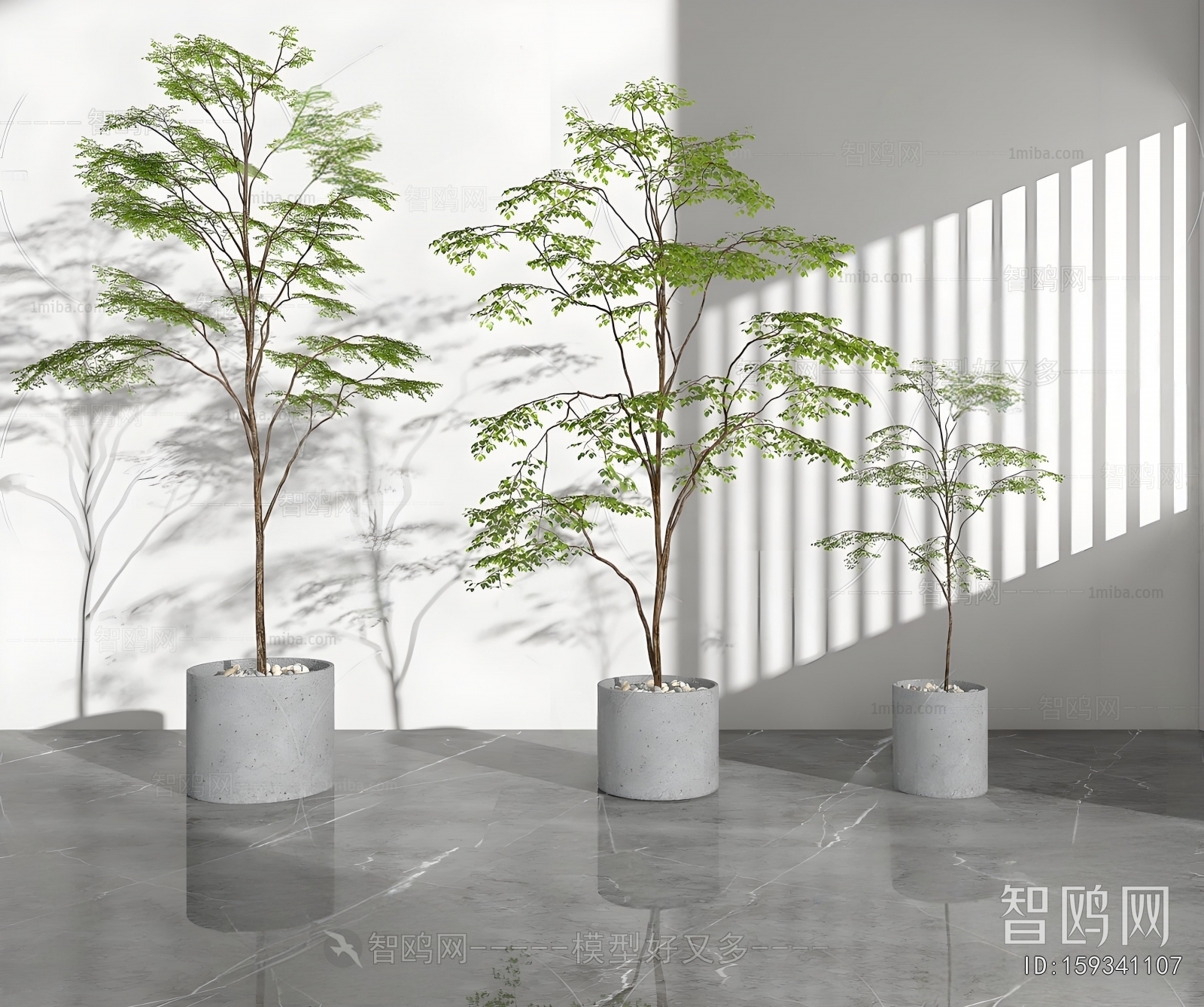 Modern Ground Green Plant Potted Plants