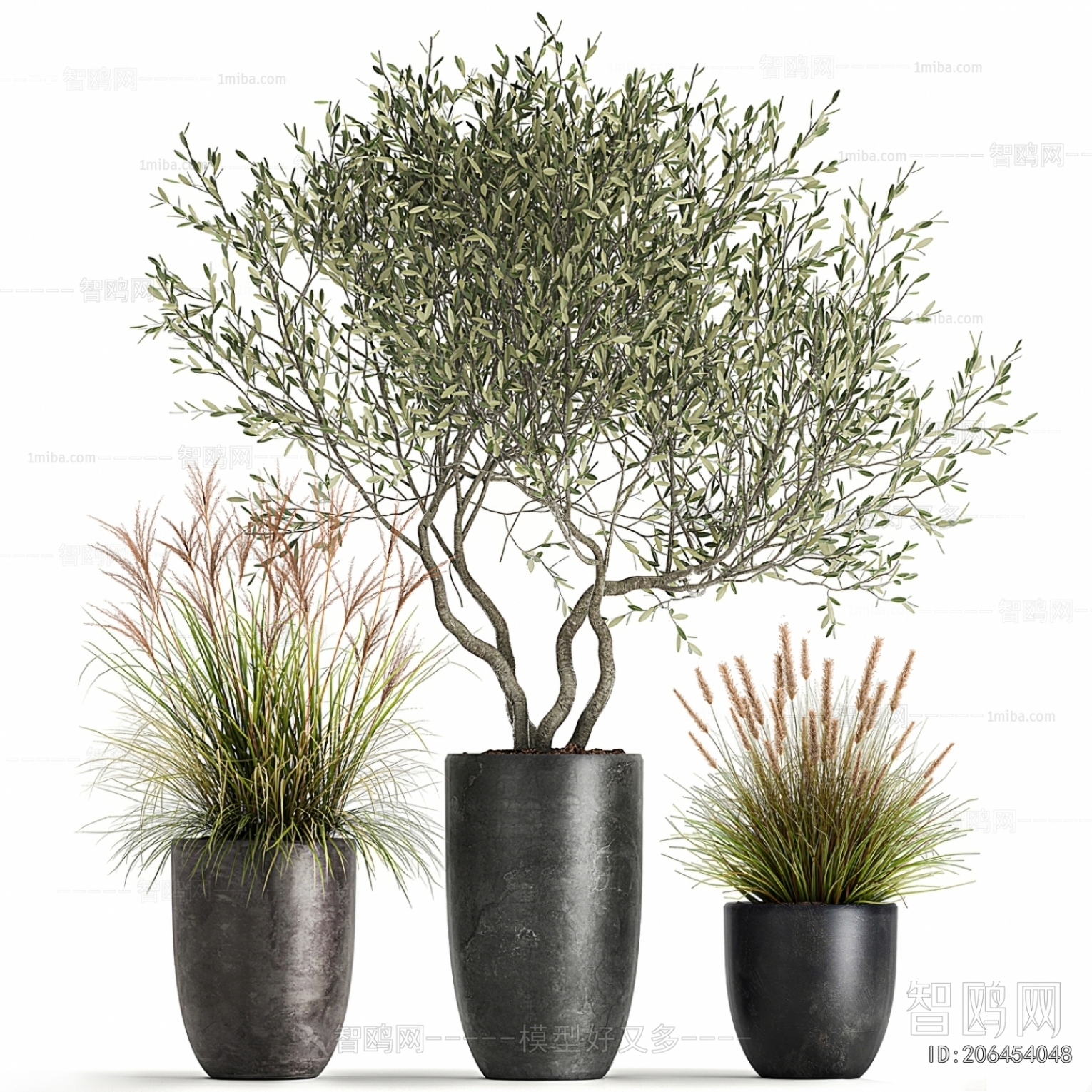 Modern Ground Green Plant Potted Plants