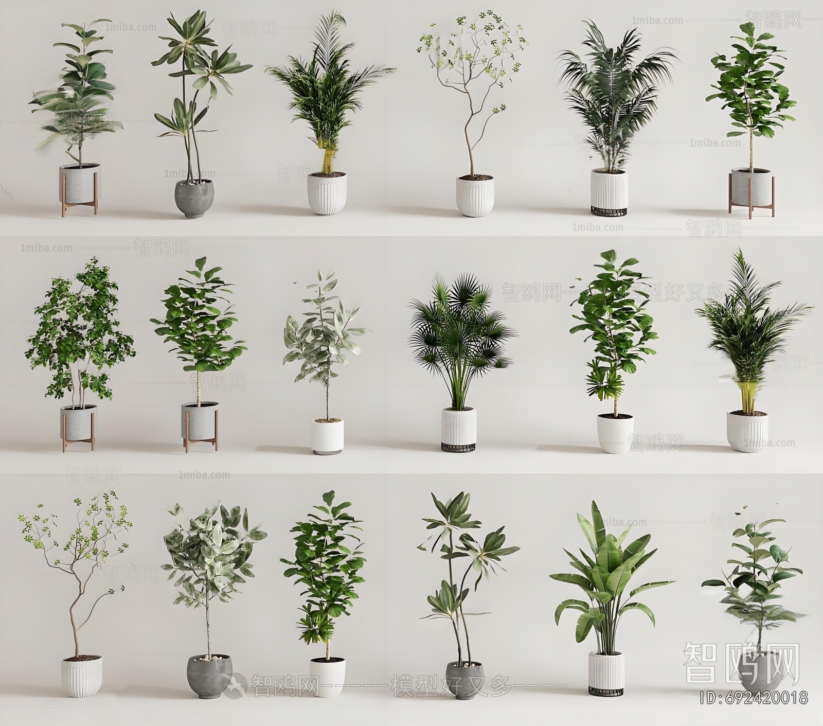 Modern Ground Green Plant Potted Plants