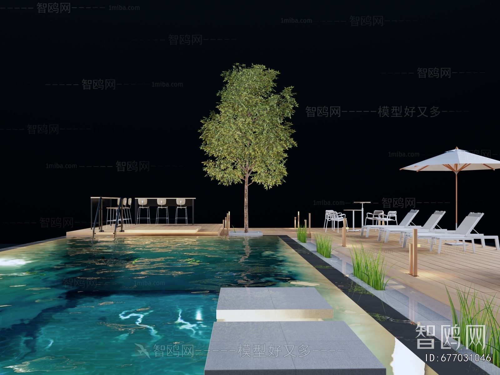 Modern Swimming Pool