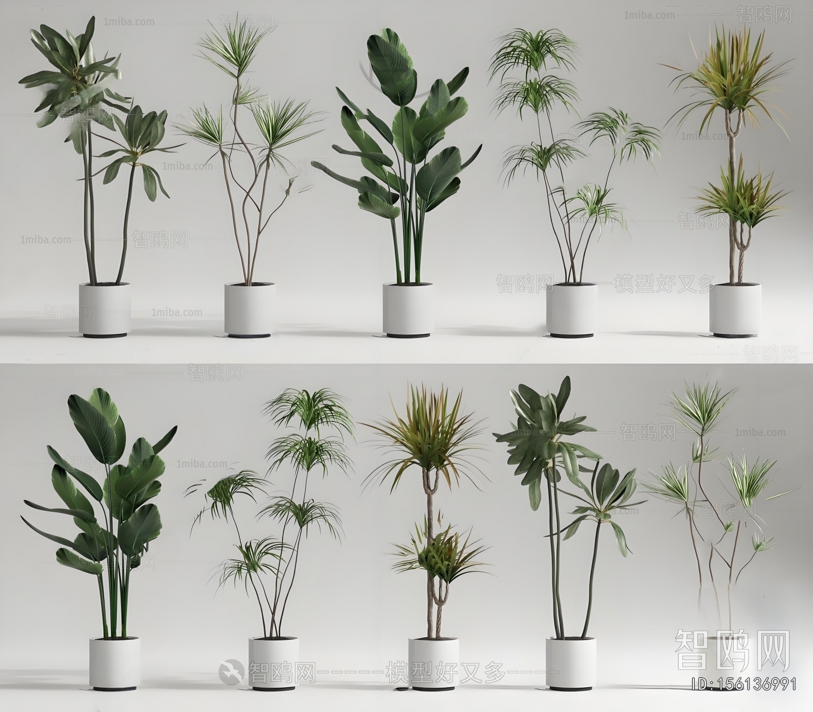 Modern Ground Green Plant Potted Plants