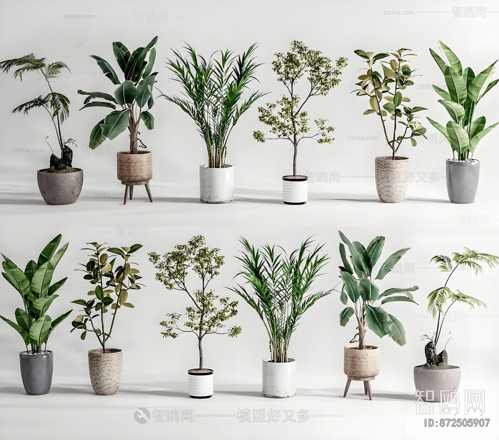 Modern Ground Green Plant Potted Plants