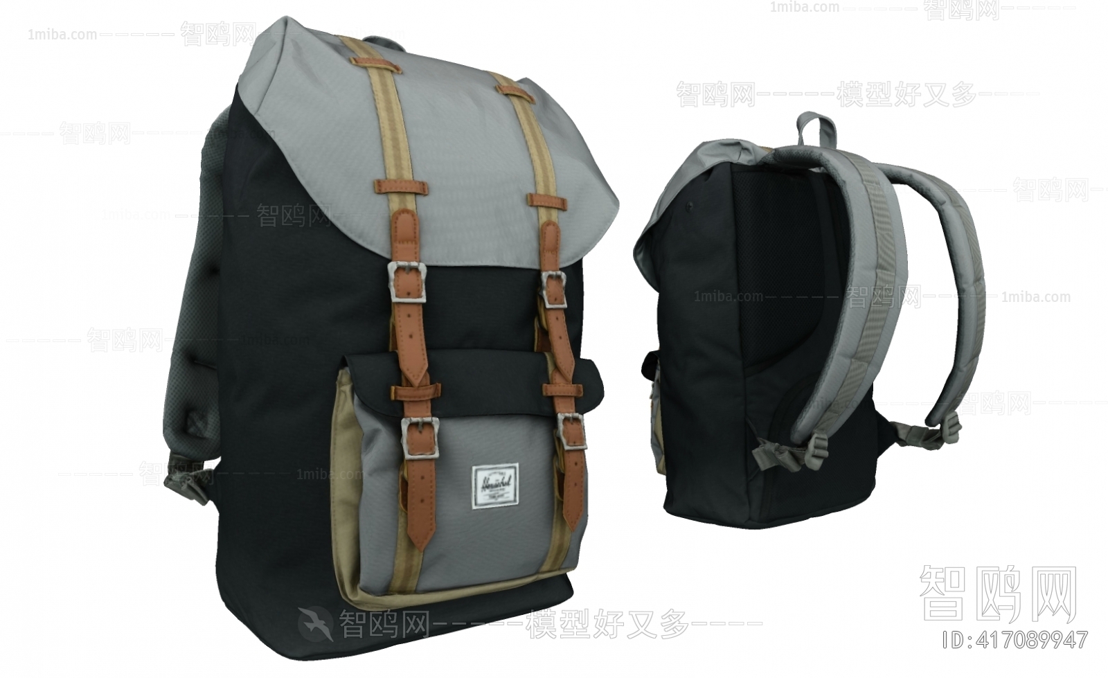 Modern Backpack And Backpack