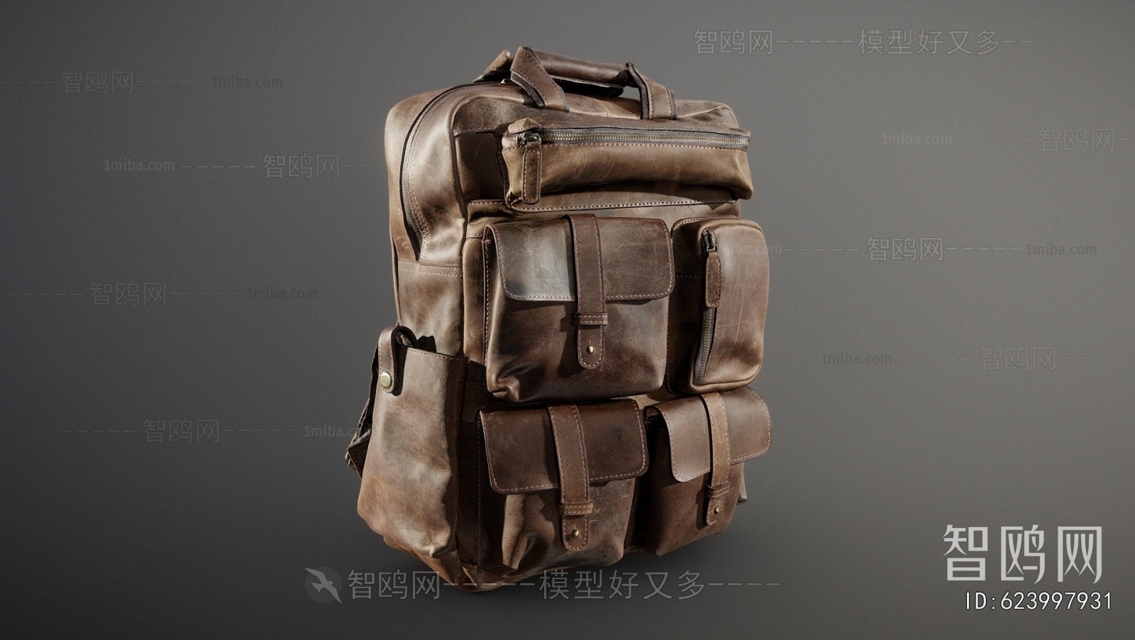 Modern Backpack And Backpack