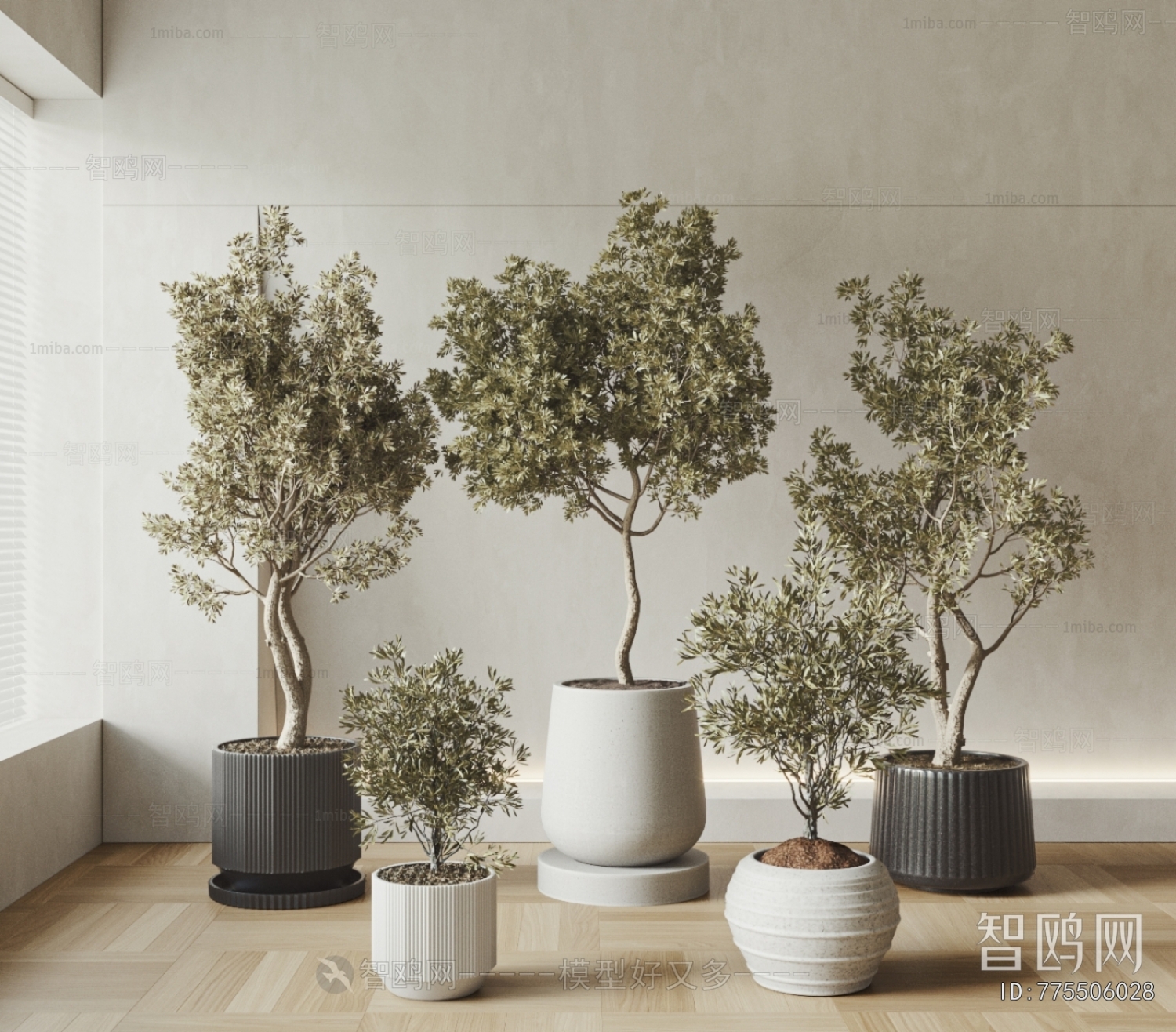 Modern Ground Green Plant Potted Plants