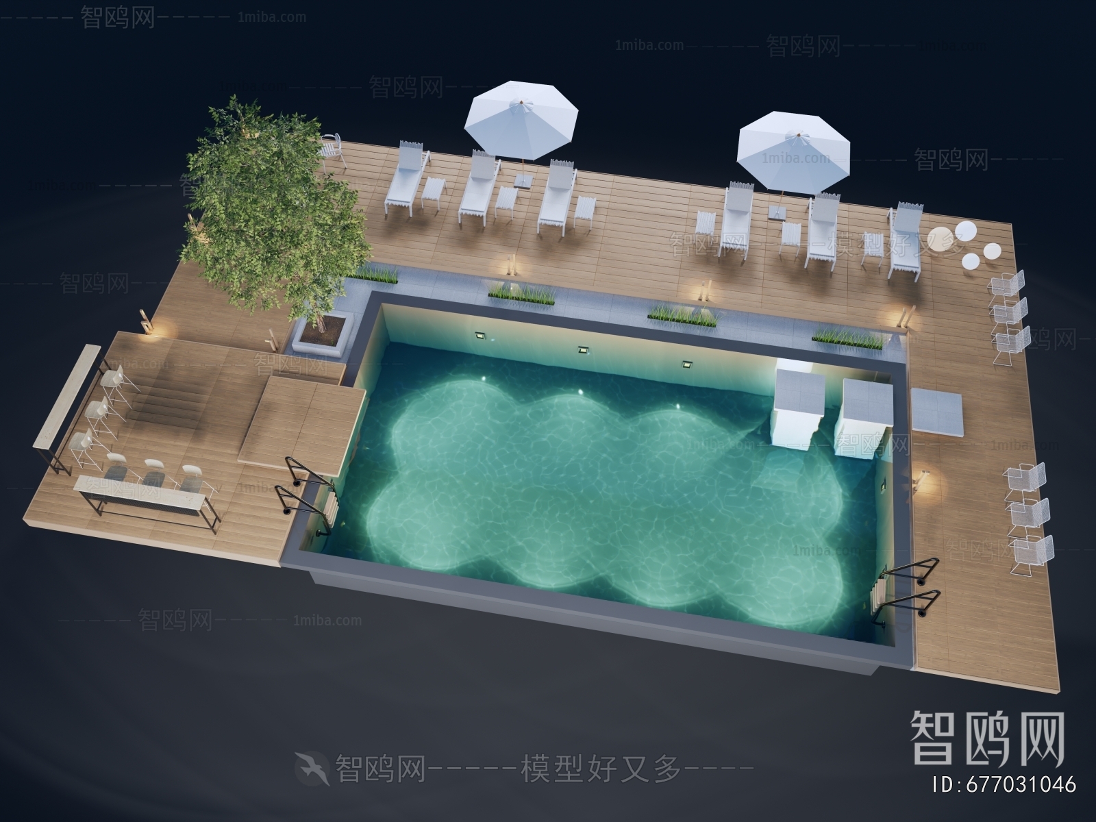 Modern Swimming Pool