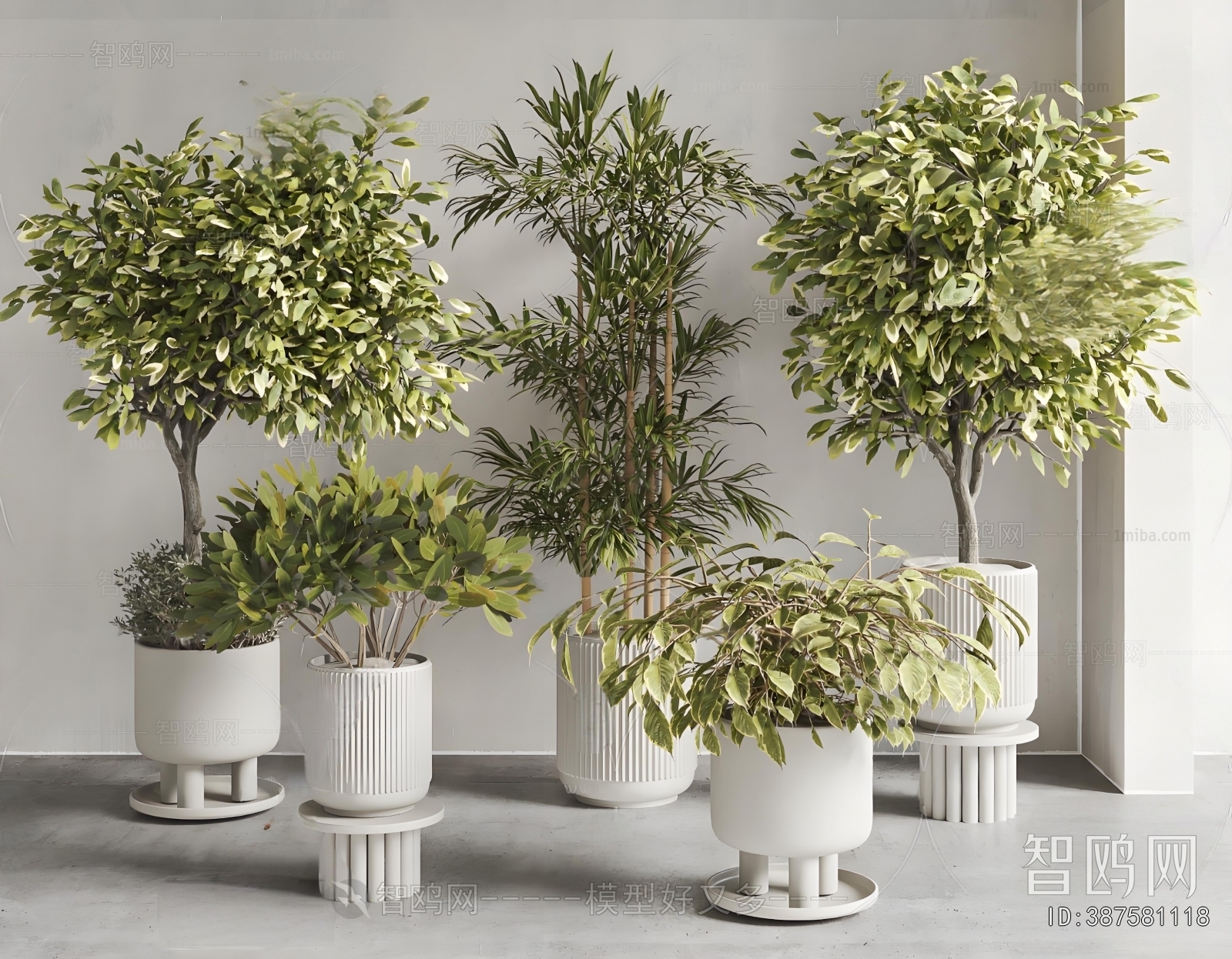 Modern Ground Green Plant Potted Plants