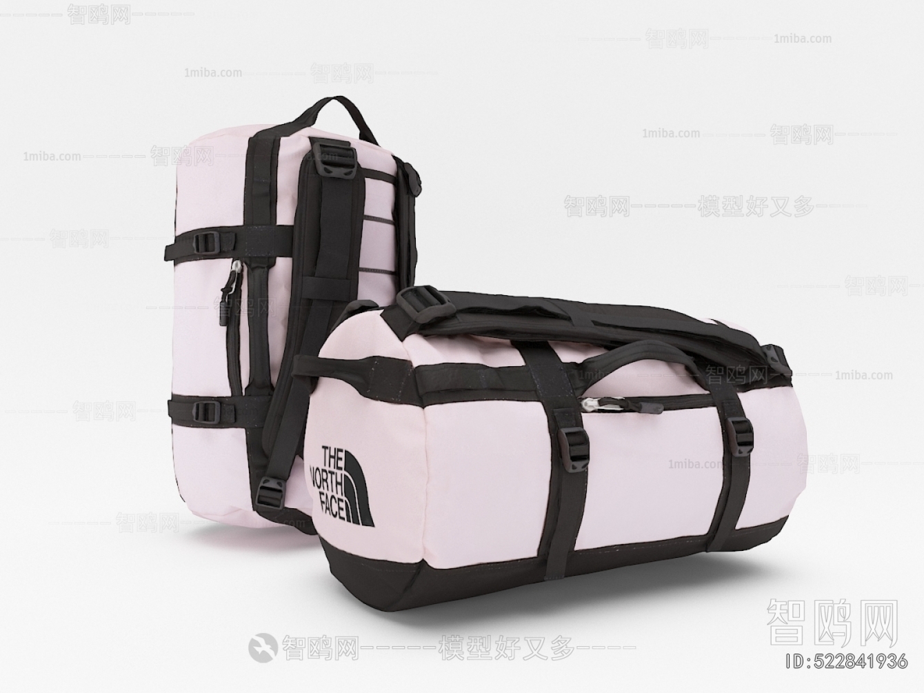 Modern Backpack And Backpack