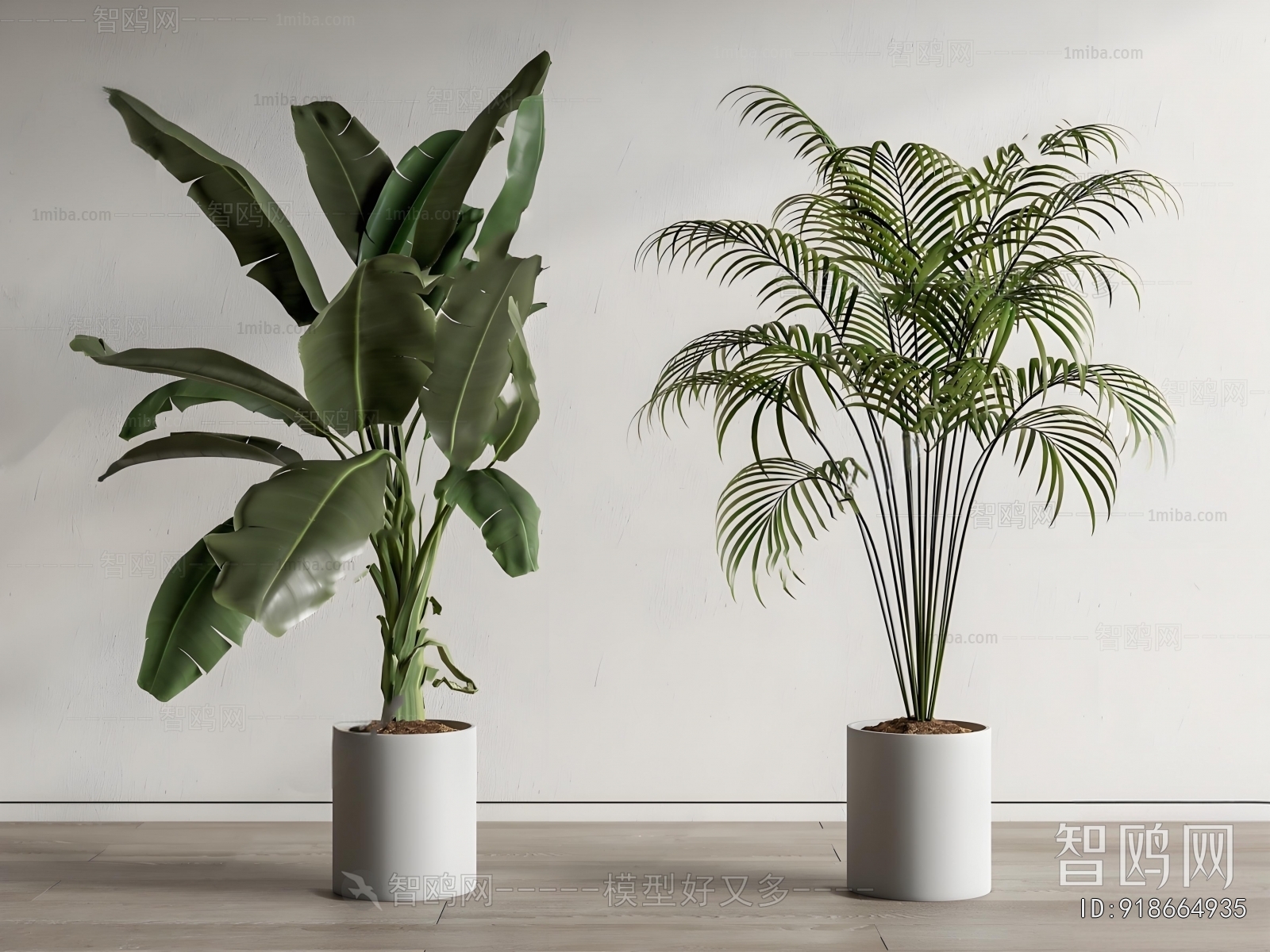 Modern Ground Green Plant Potted Plants