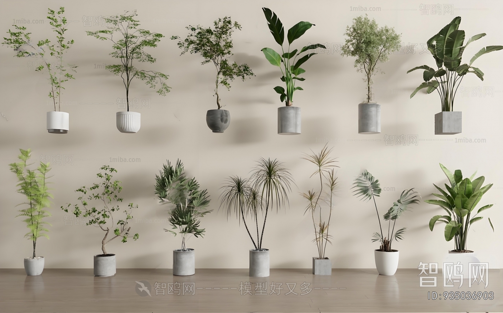 Modern Ground Green Plant Potted Plants