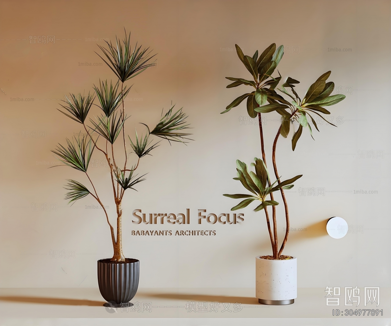 Modern Ground Green Plant Potted Plants