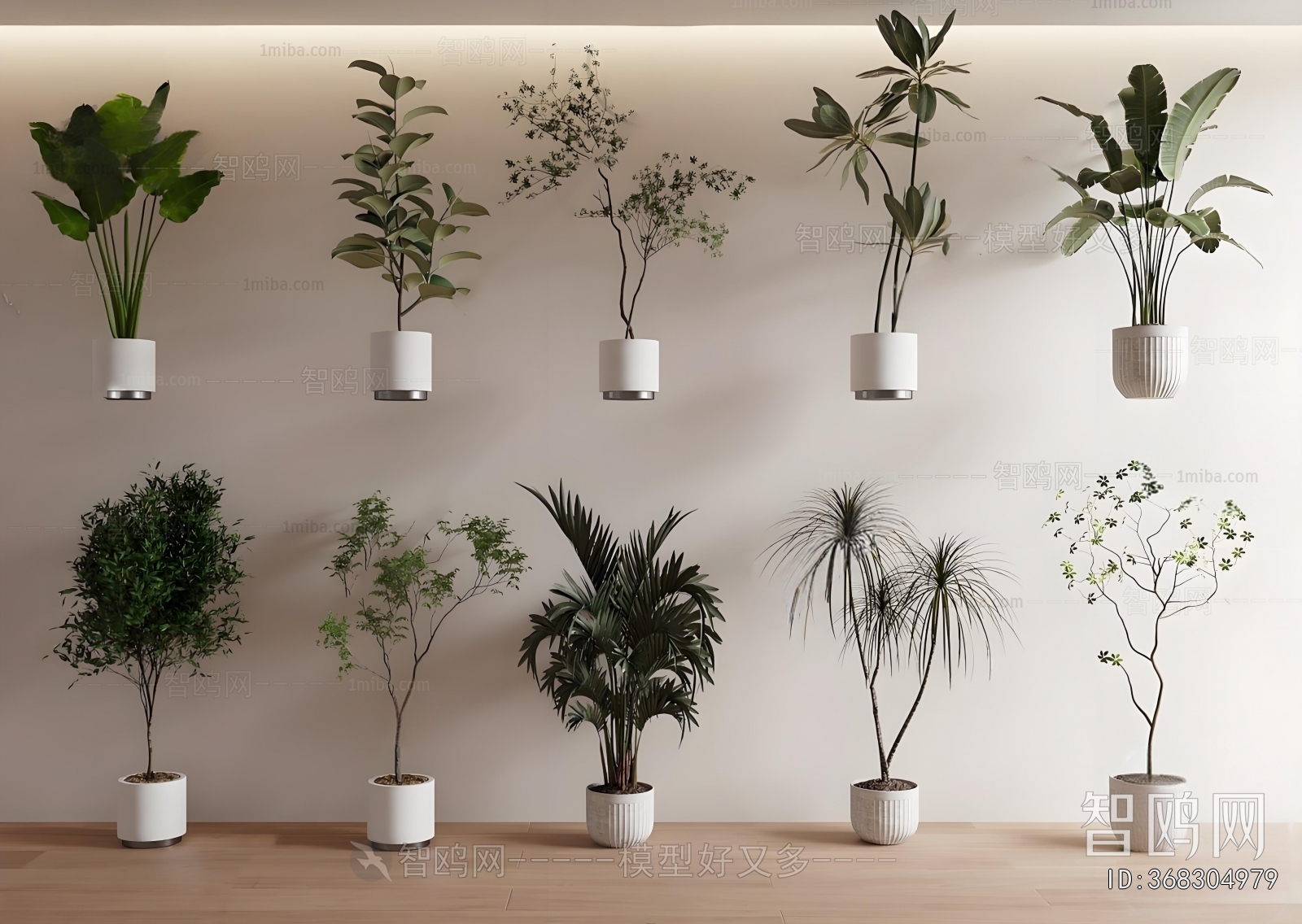 Modern Ground Green Plant Potted Plants