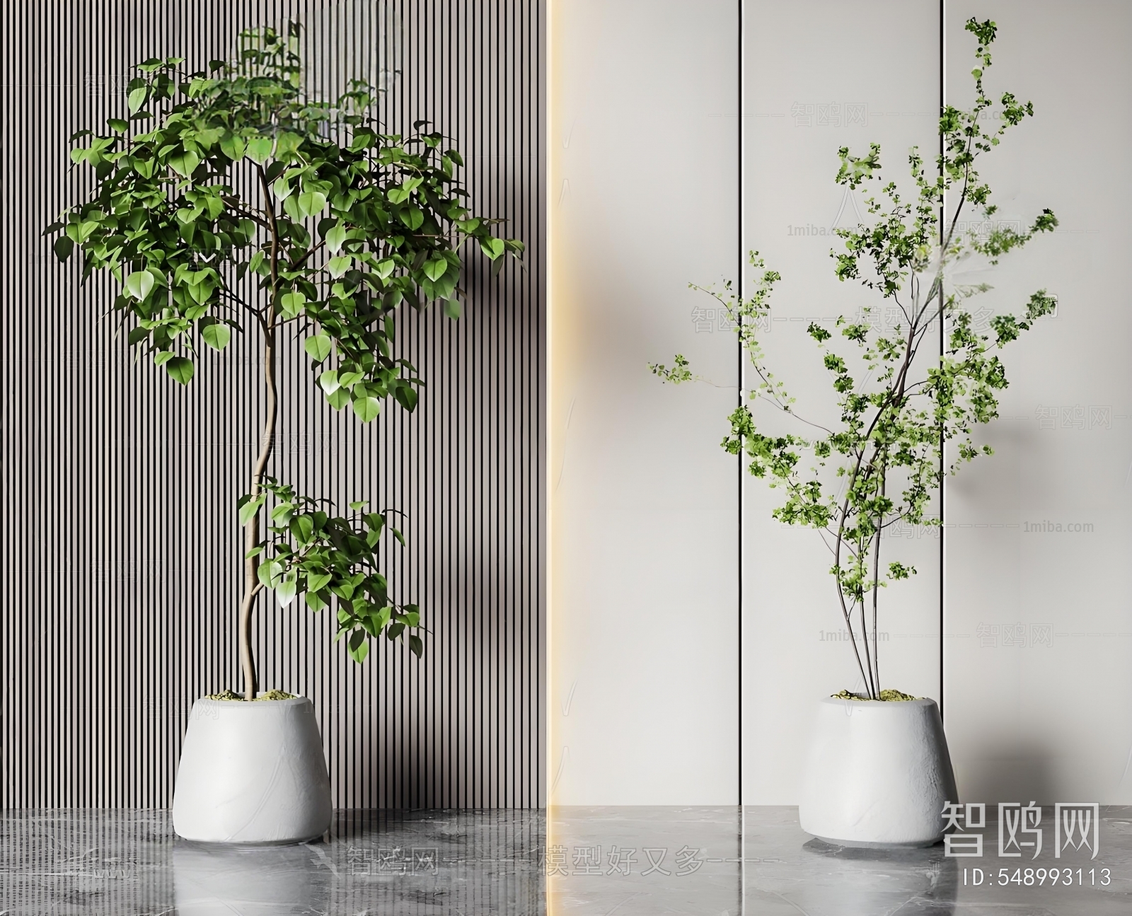 Modern Ground Green Plant Potted Plants