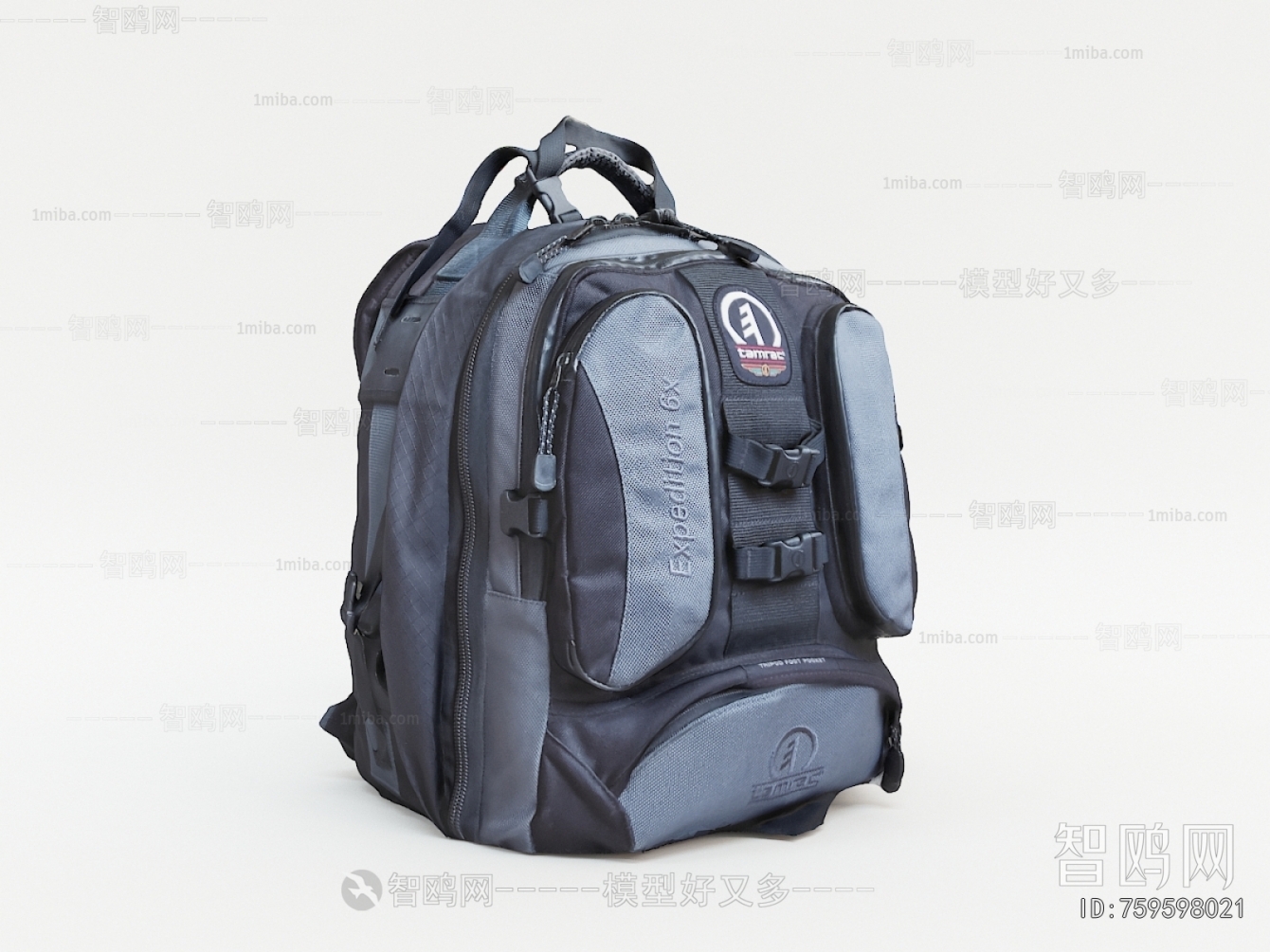 Modern Backpack And Backpack