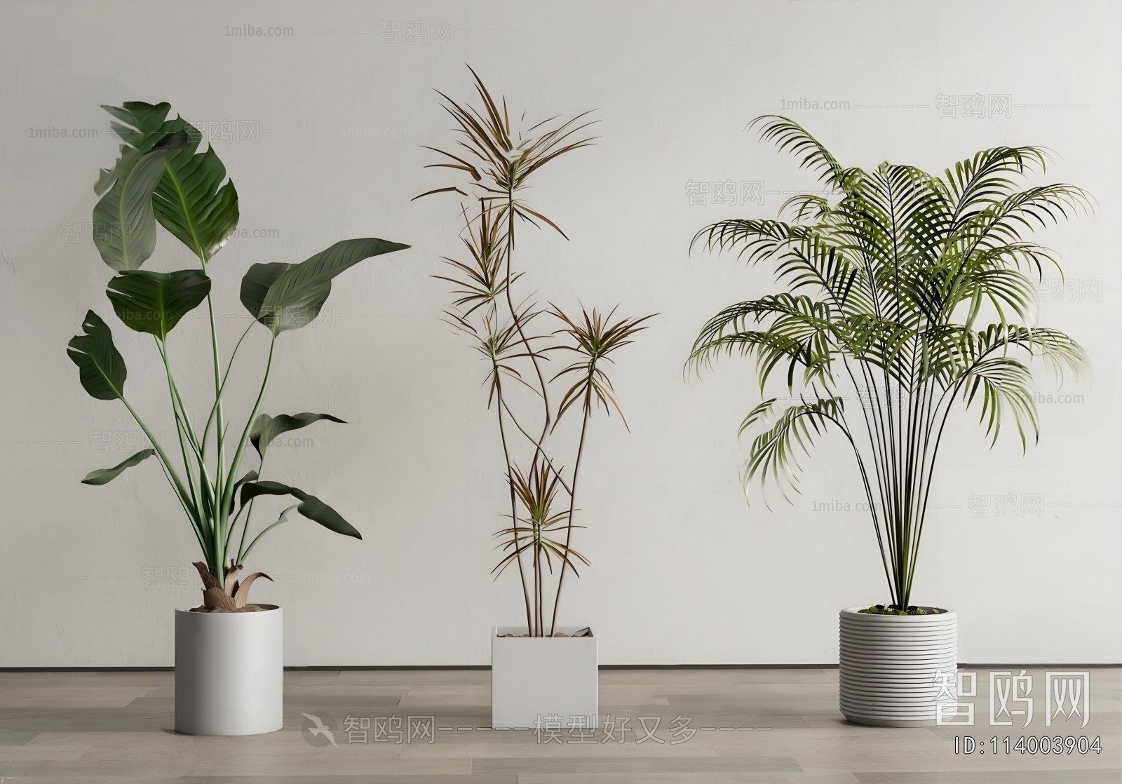 Modern Ground Green Plant Potted Plants