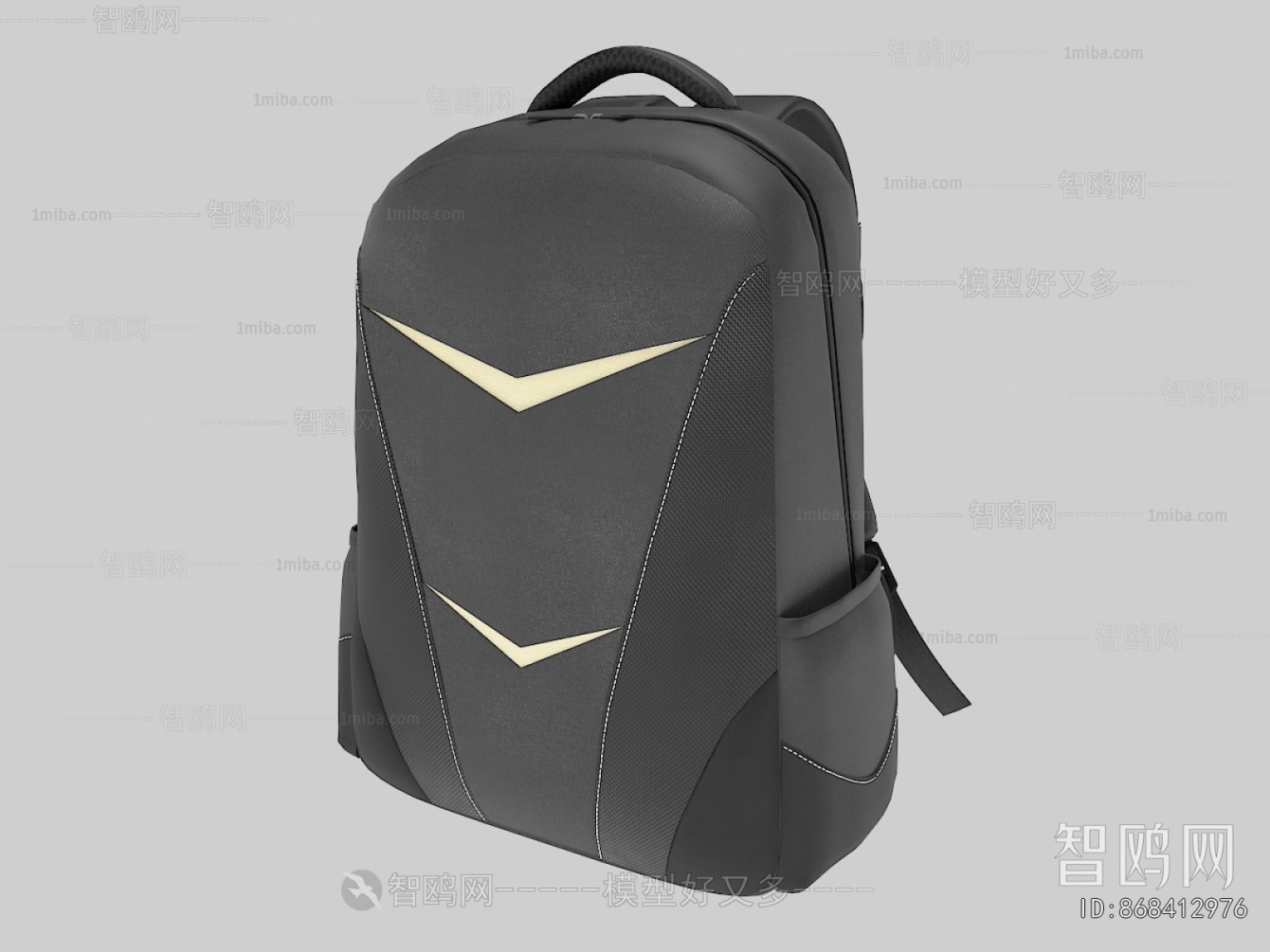 Modern Backpack And Backpack