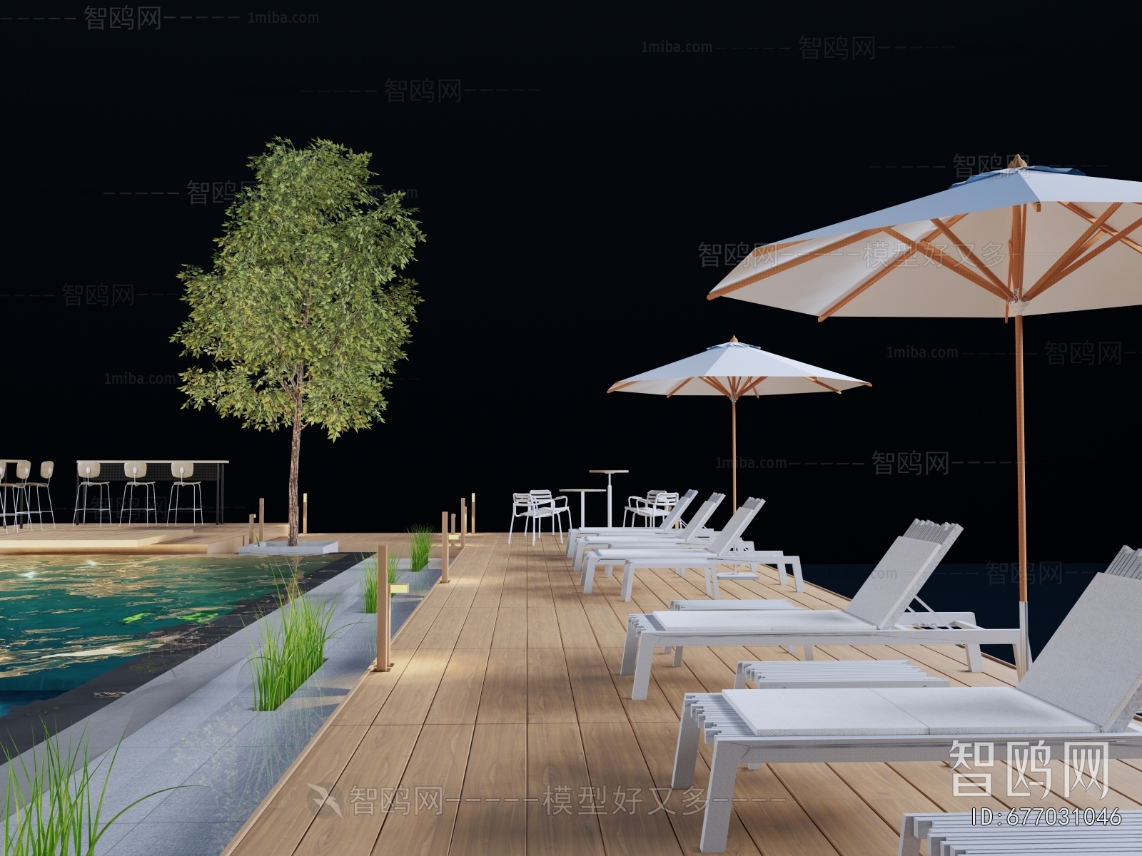 Modern Swimming Pool