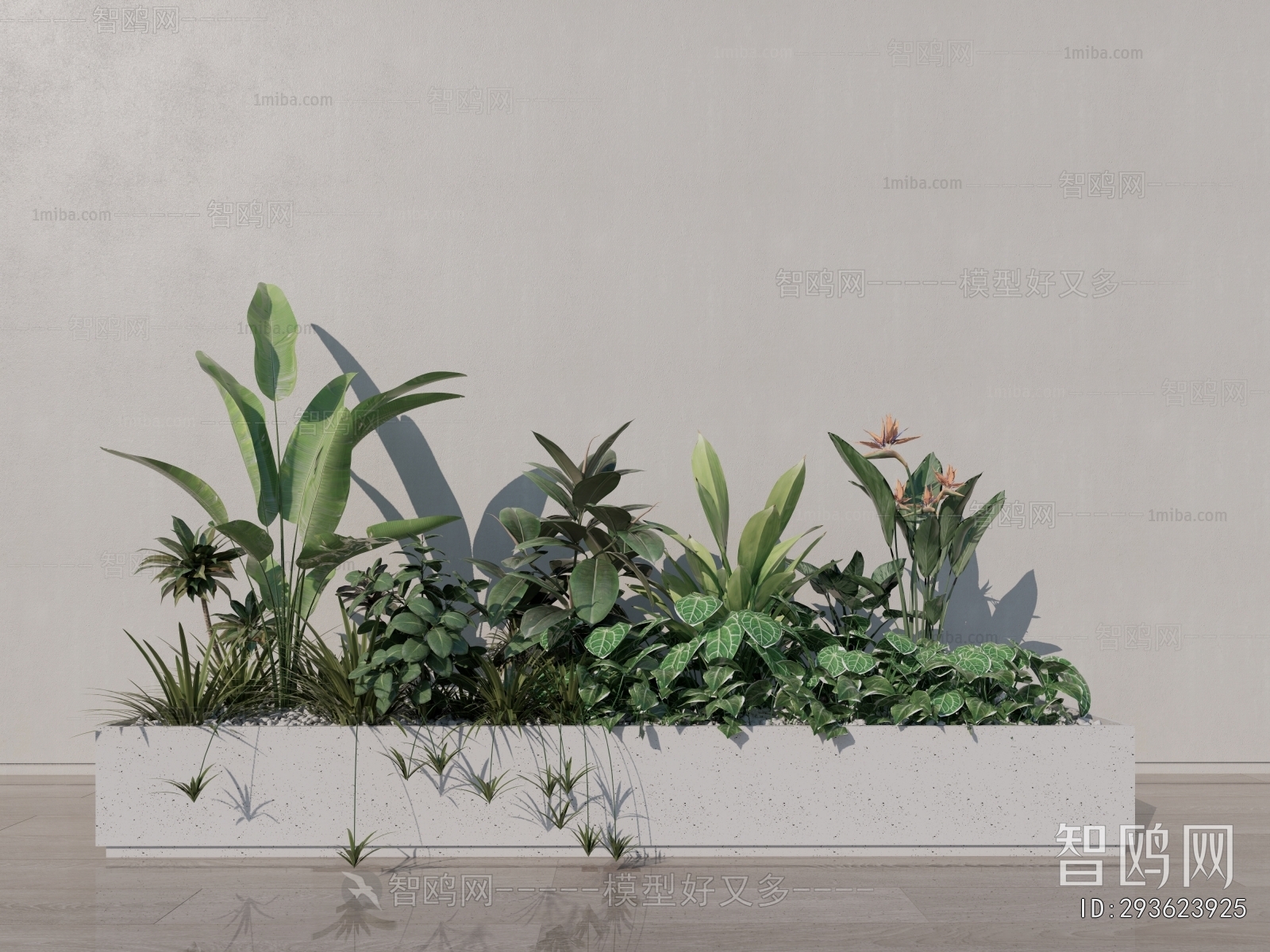 Modern Flower Bed, Flower Bowl, Flower Box