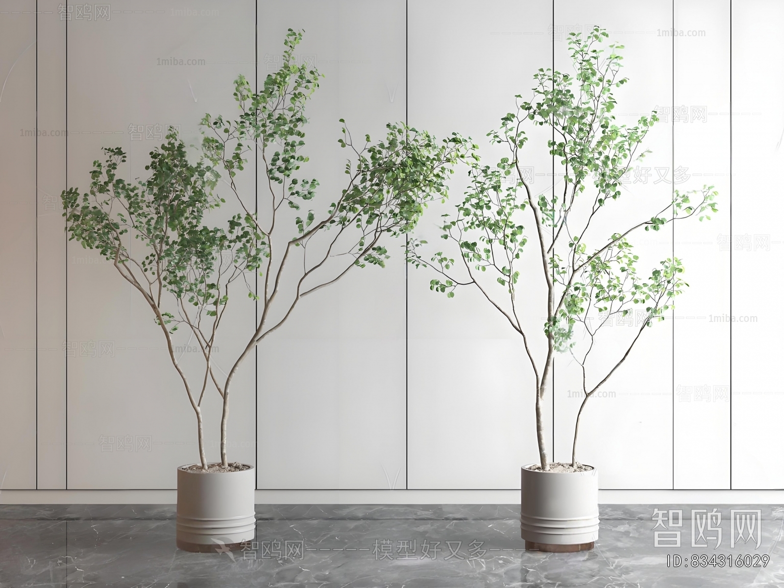 Modern Ground Green Plant Potted Plants