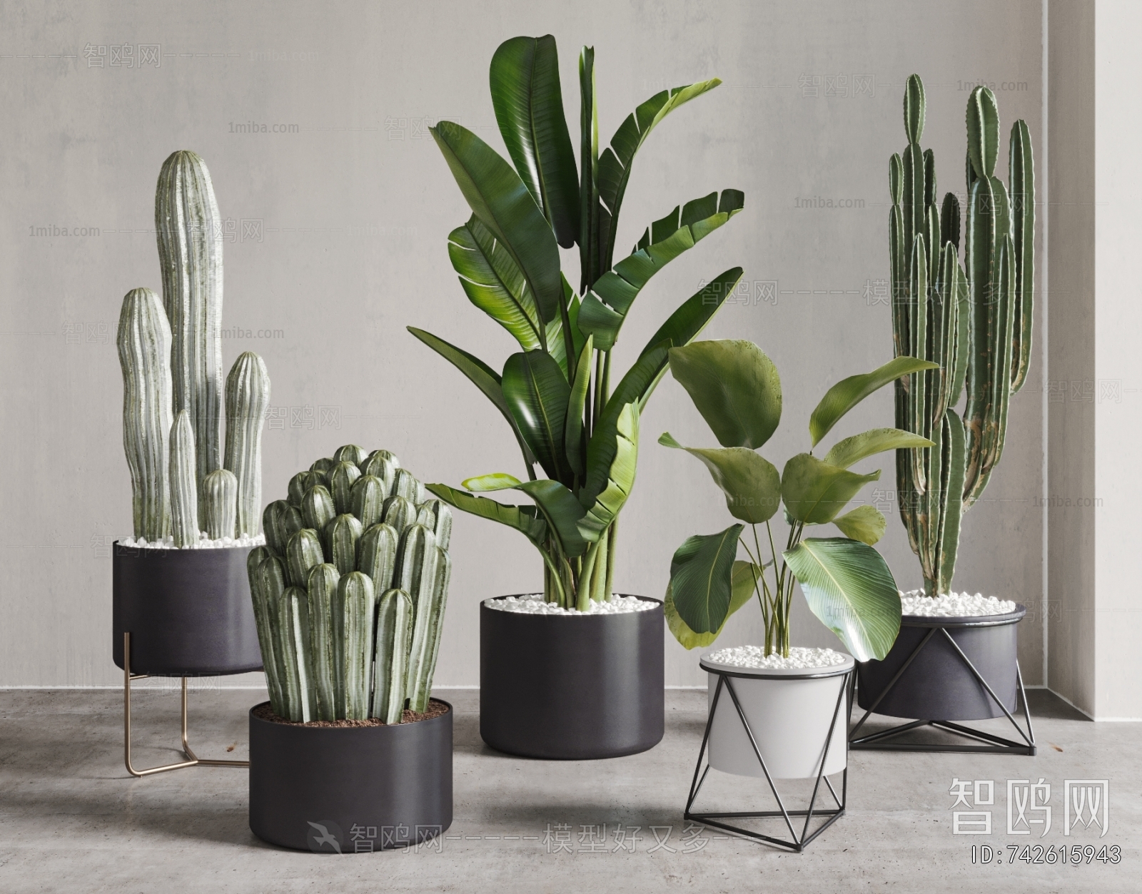 Modern Ground Green Plant Potted Plants