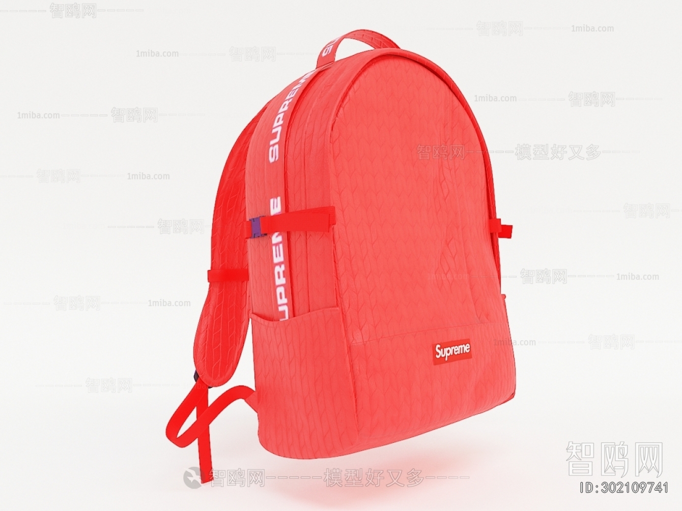 Modern Backpack And Backpack