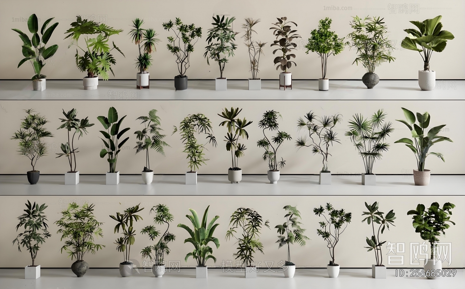 Modern Ground Green Plant Potted Plants