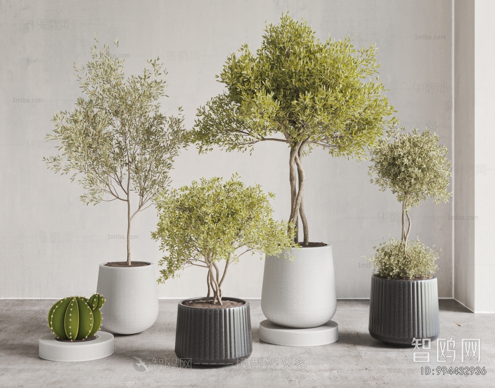 Modern Ground Green Plant Potted Plants