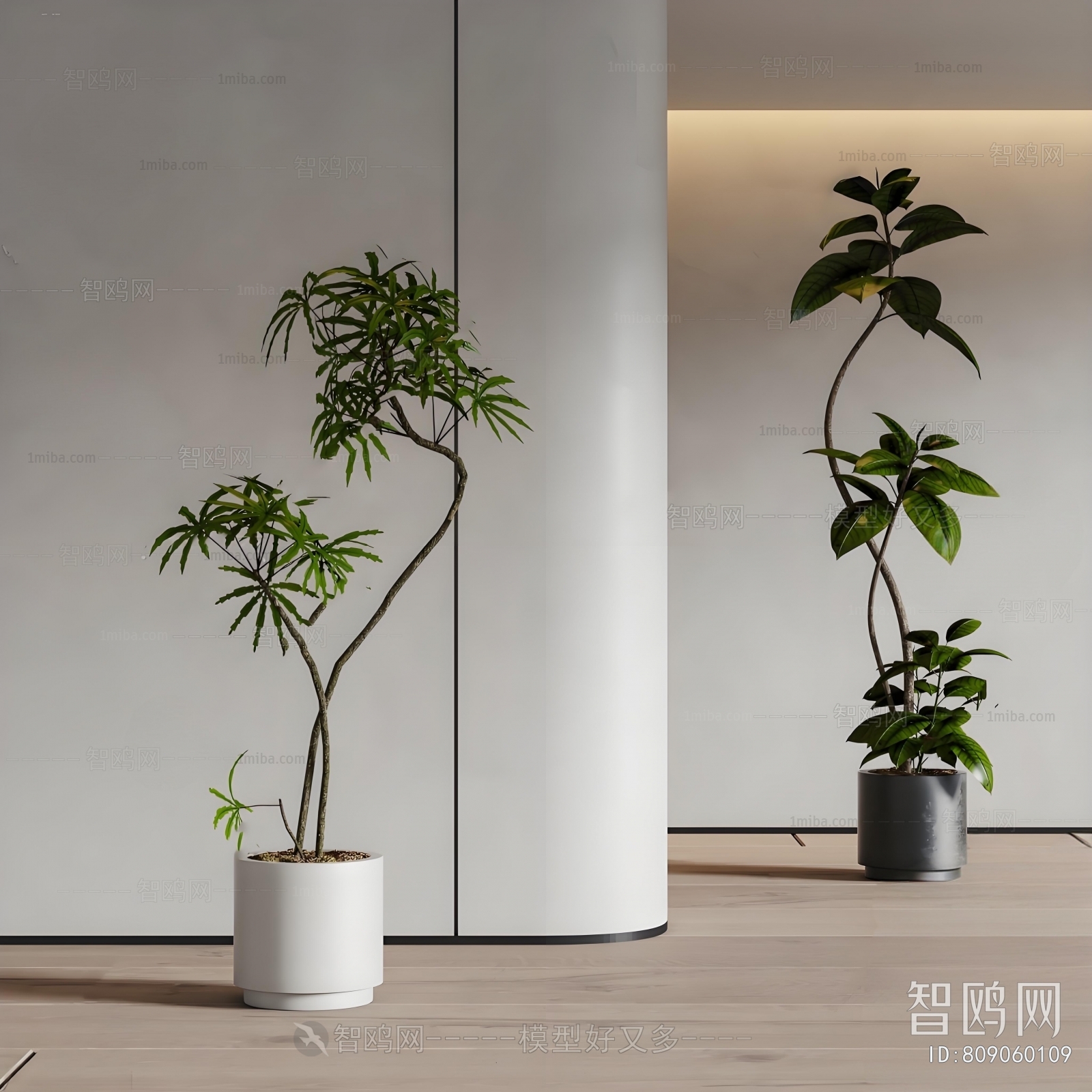 Modern Ground Green Plant Potted Plants