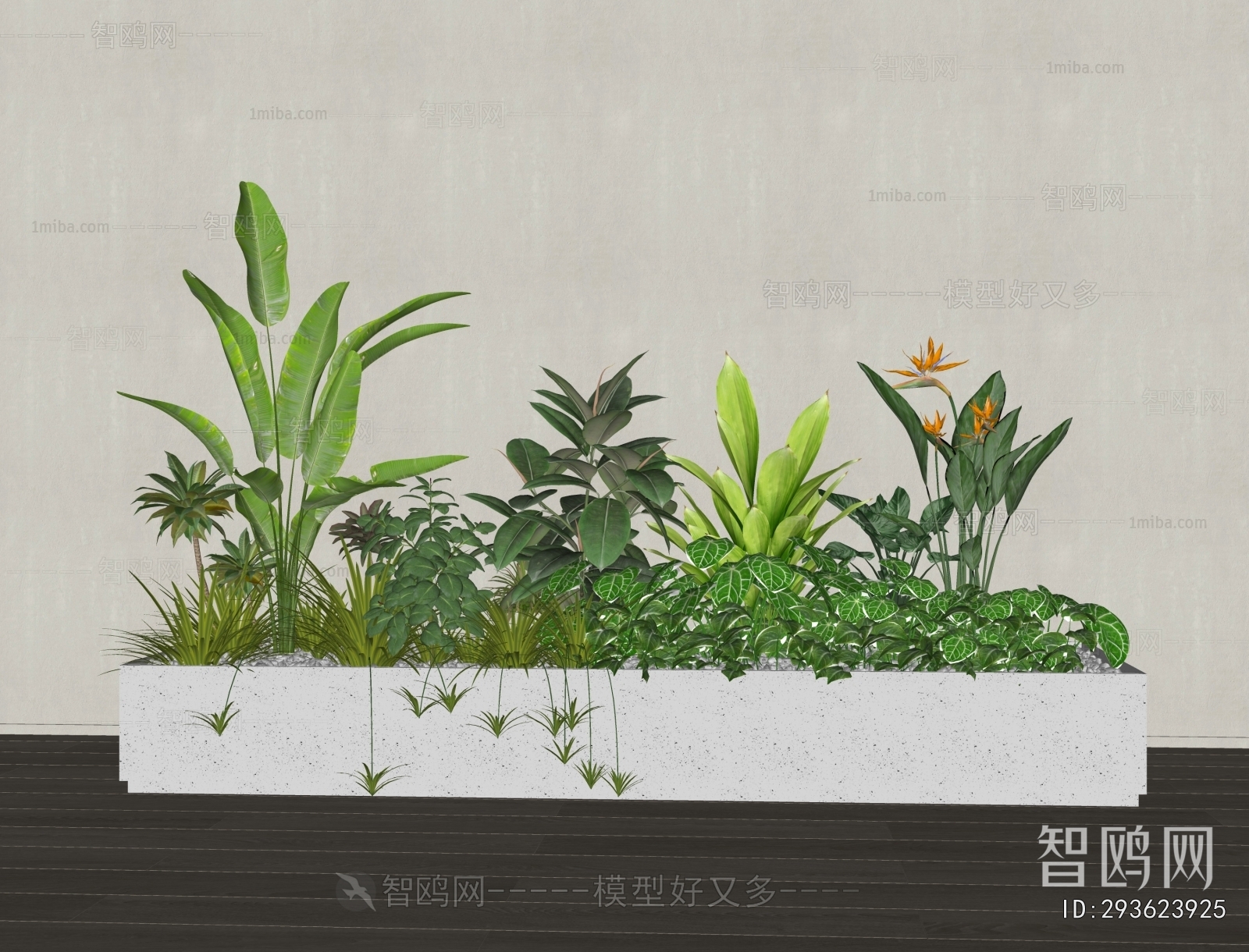 Modern Flower Bed, Flower Bowl, Flower Box