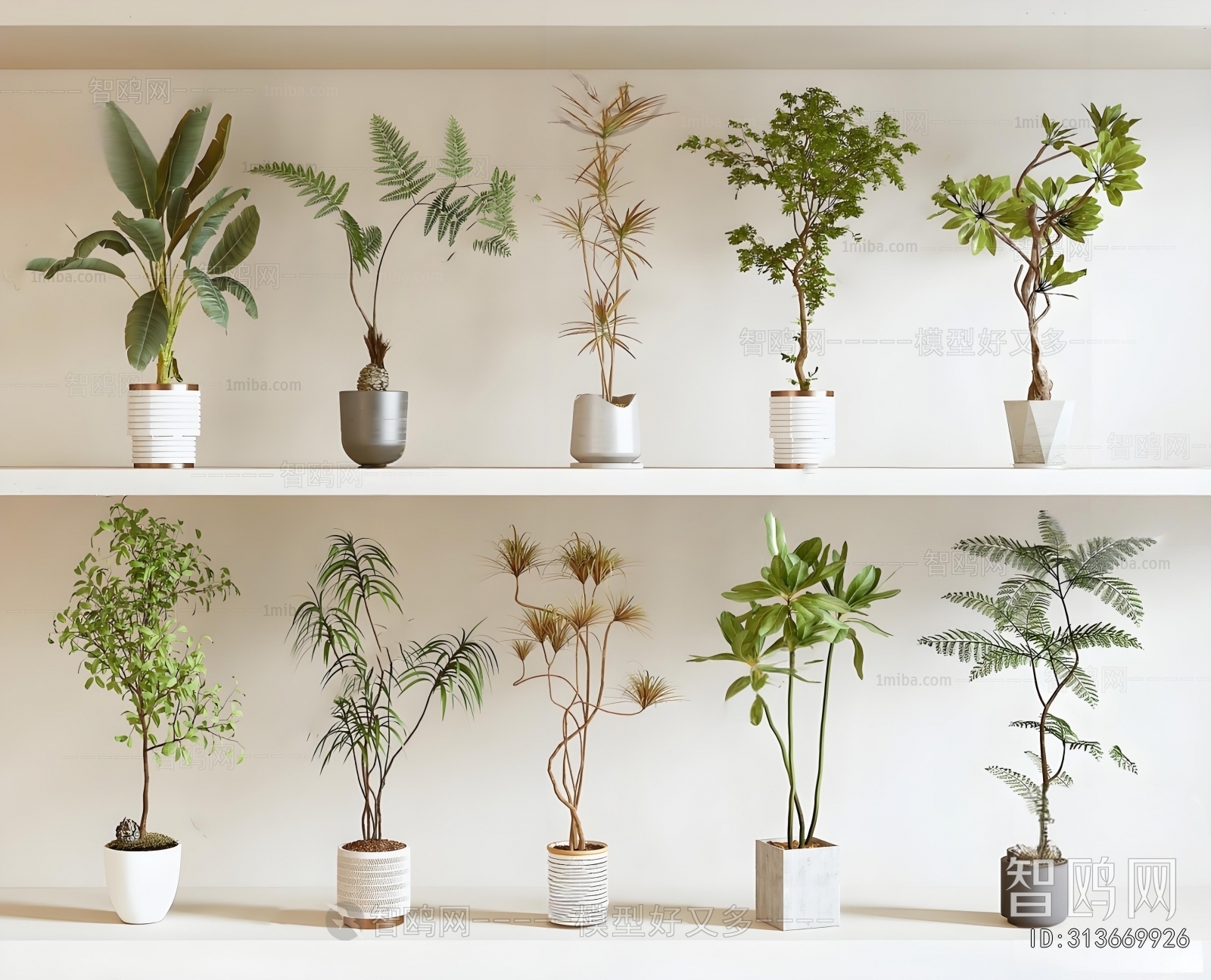 Modern Ground Green Plant Potted Plants