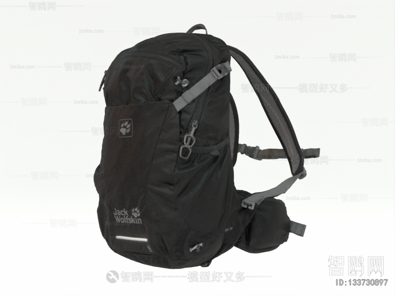 Modern Backpack And Backpack