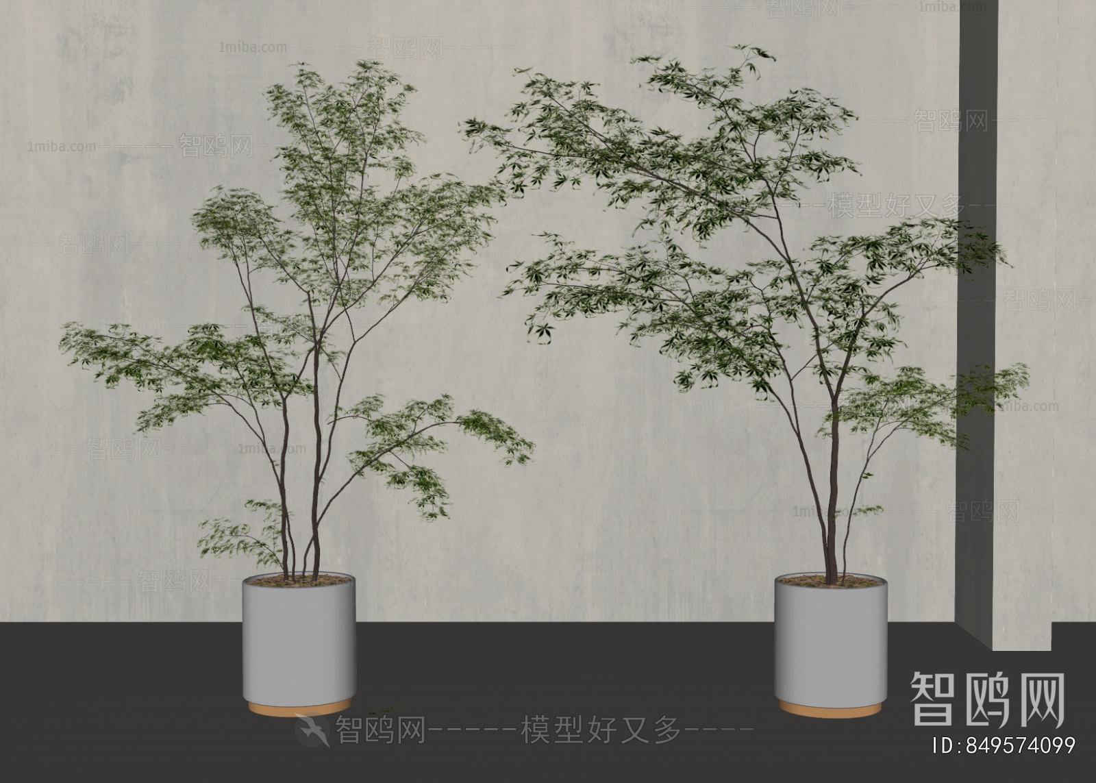 Modern Ground Green Plant Potted Plants