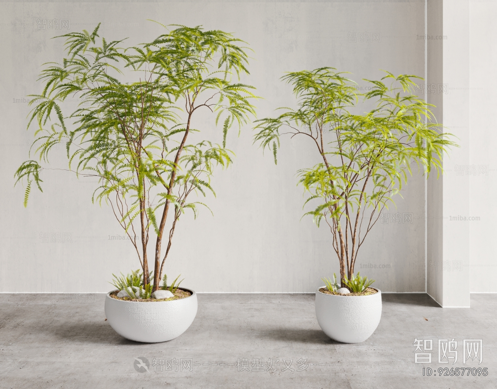 Modern Ground Green Plant Potted Plants