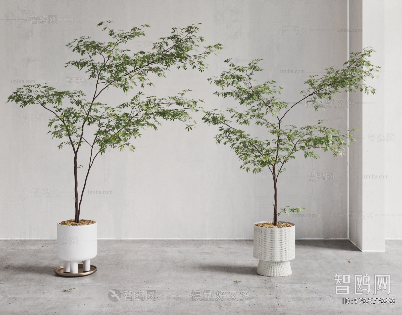 Modern Ground Green Plant Potted Plants