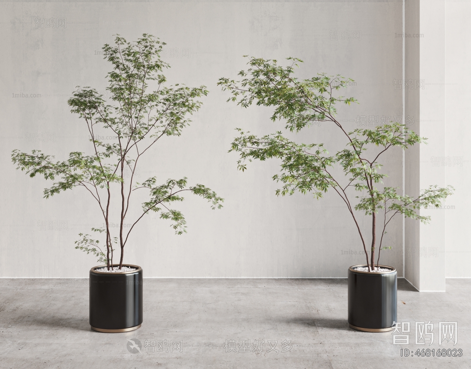 Modern Ground Green Plant Potted Plants