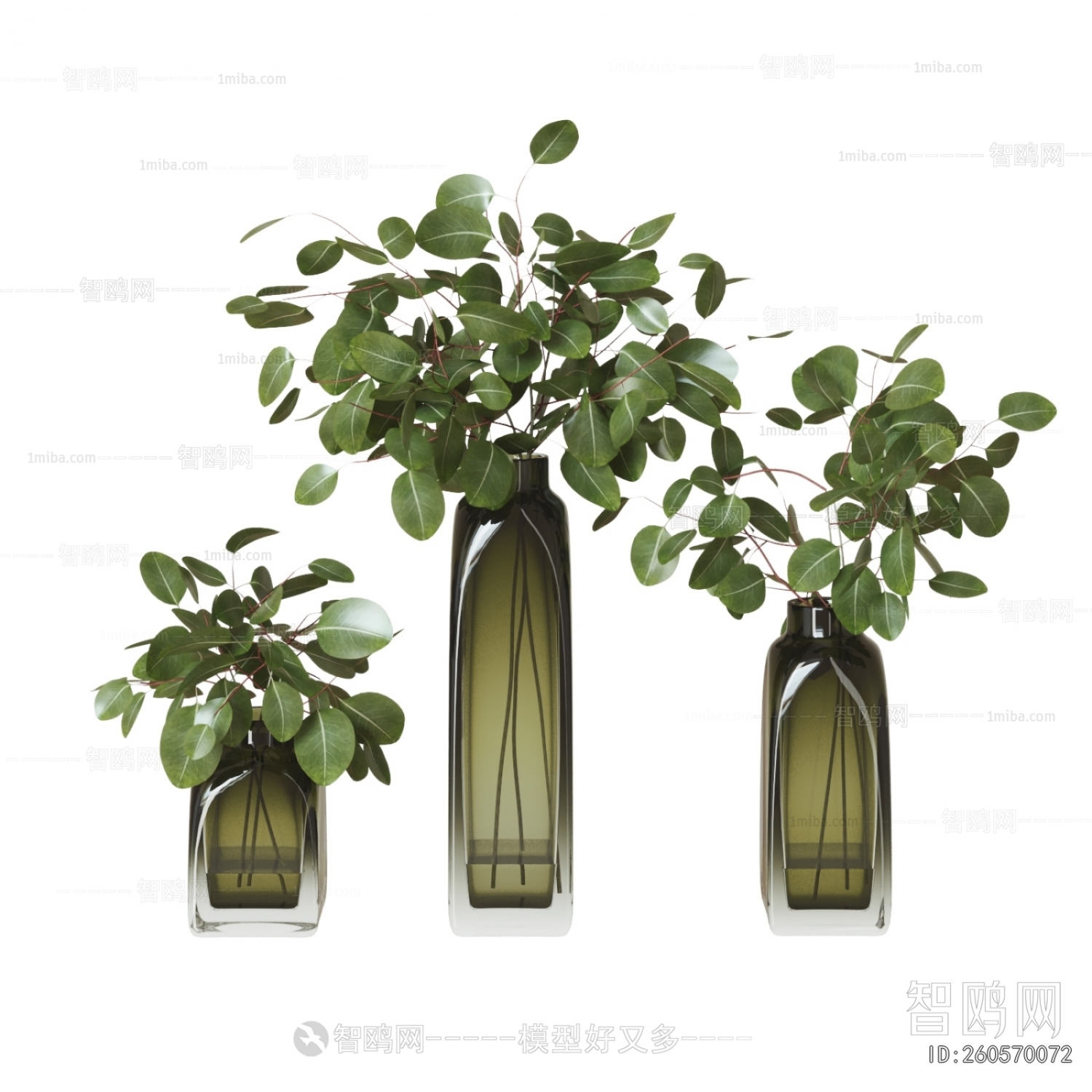 Modern Aquatic Green Plant