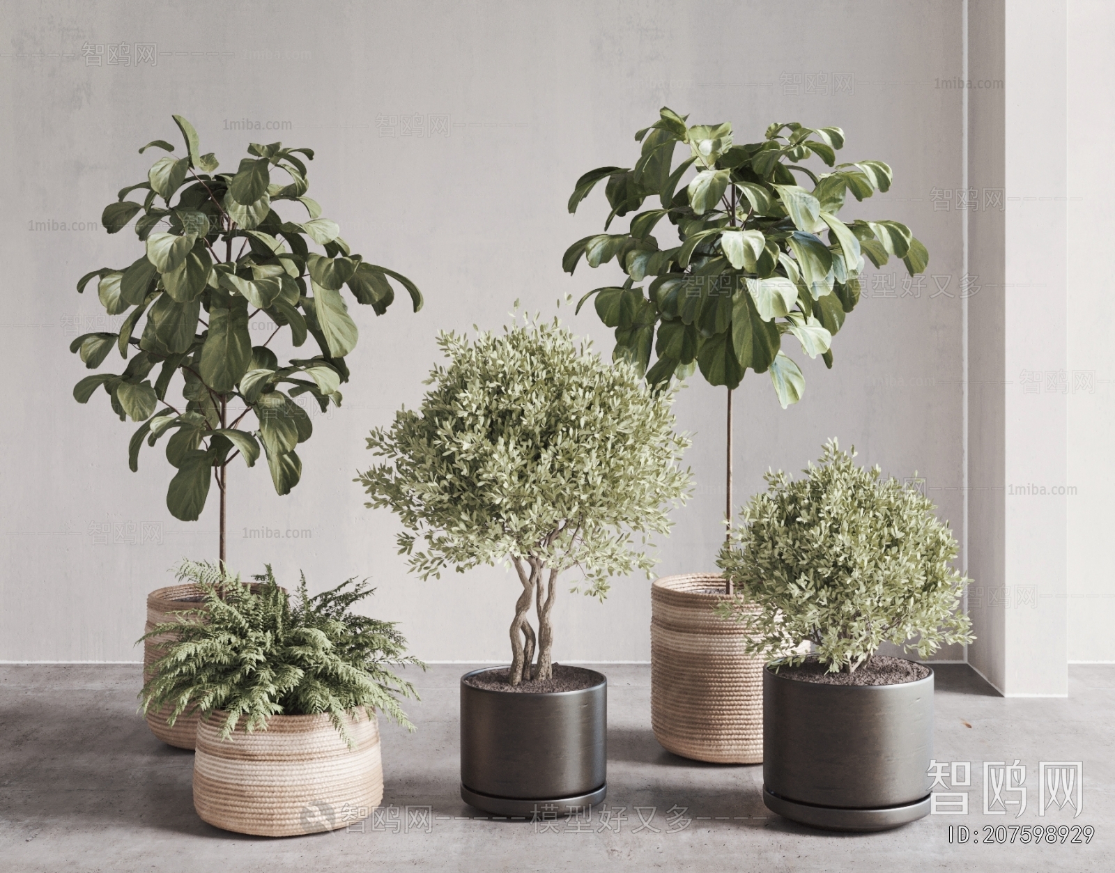 Modern Ground Green Plant Potted Plants