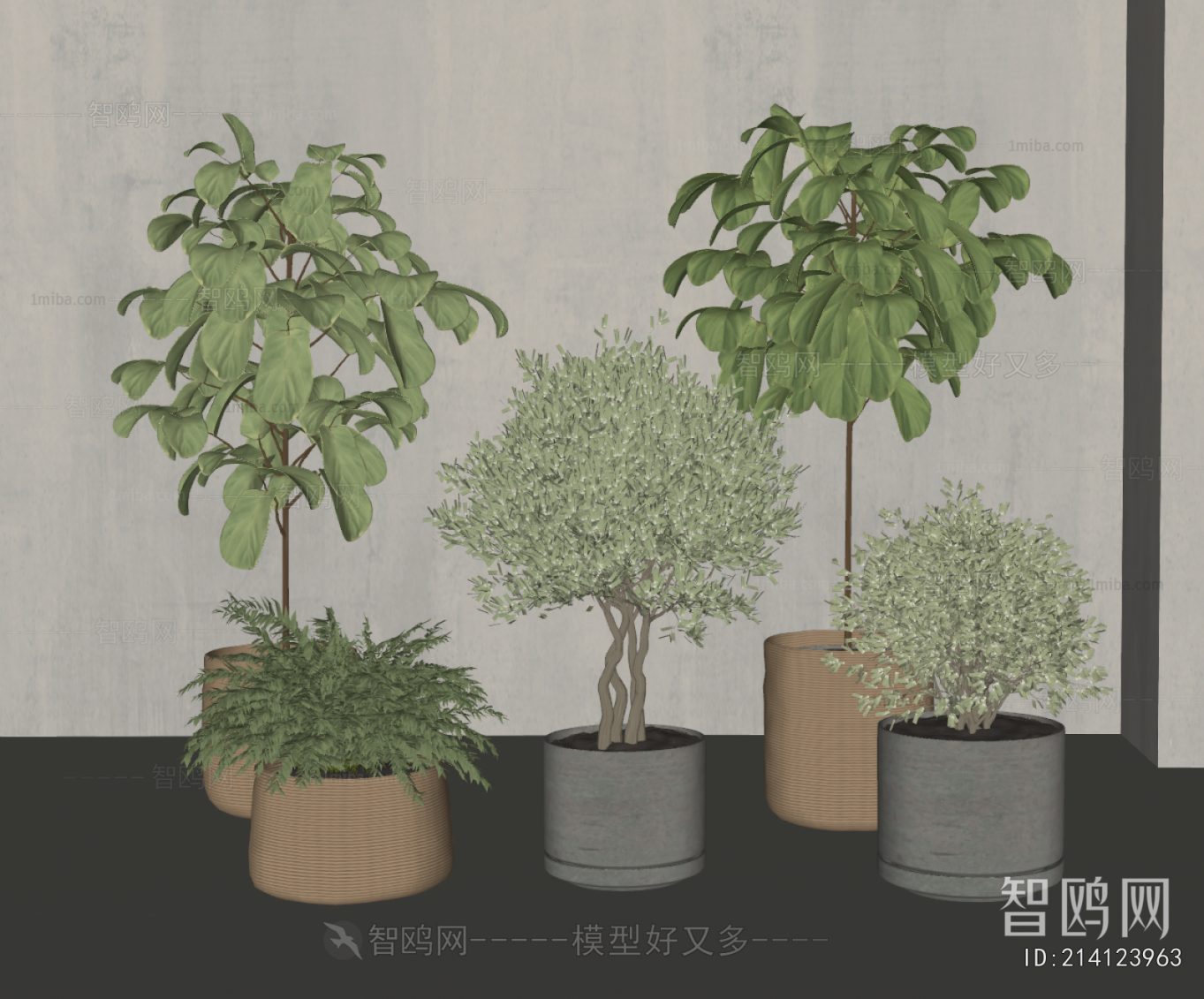 Modern Ground Green Plant Potted Plants