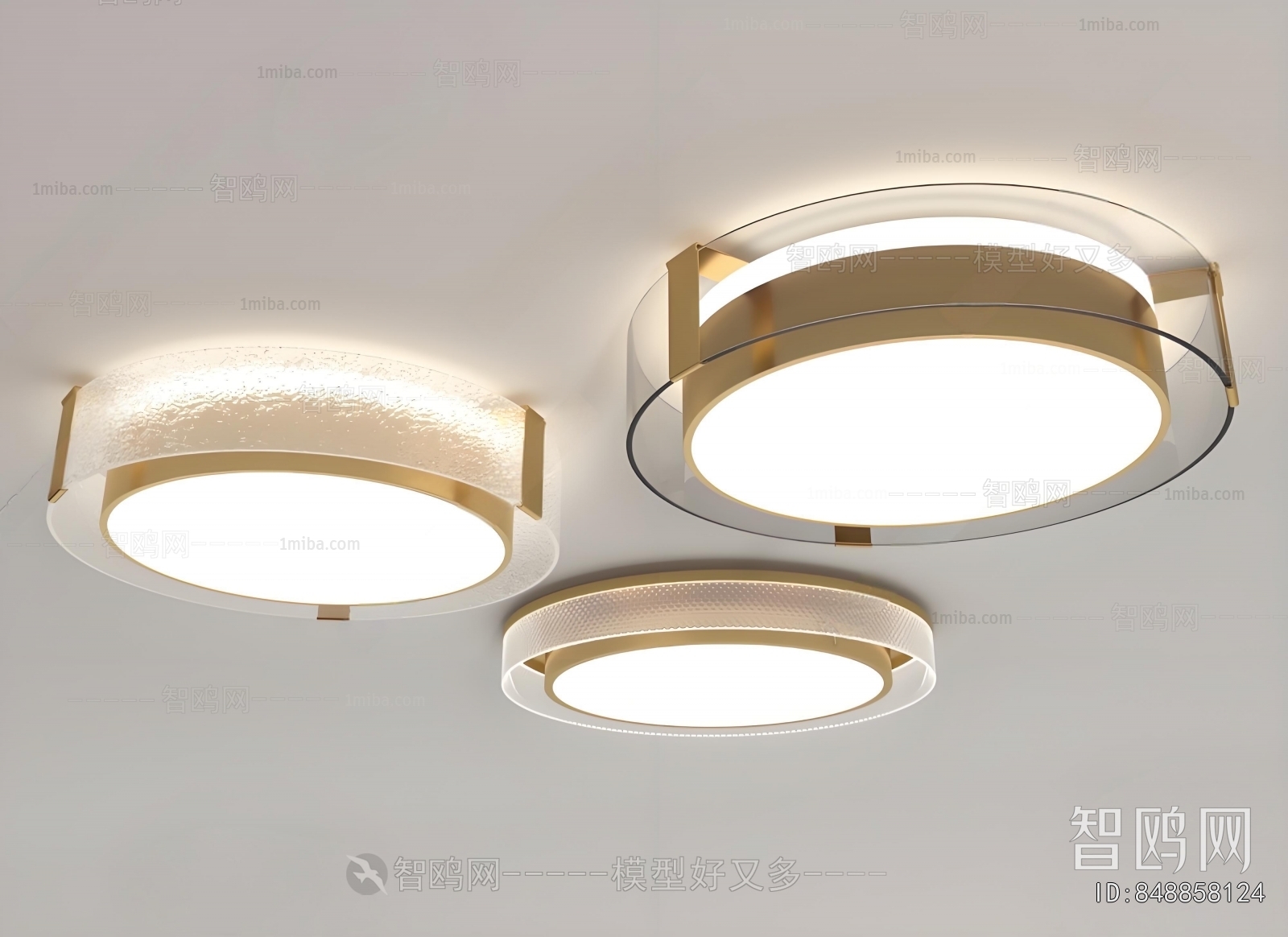 Modern Ceiling Ceiling Lamp