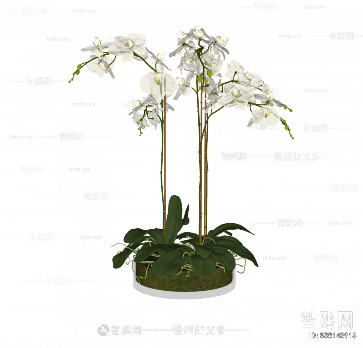 Modern Potted Green Plant