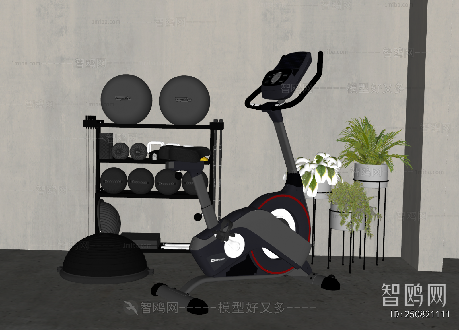 Modern Fitness Equipment